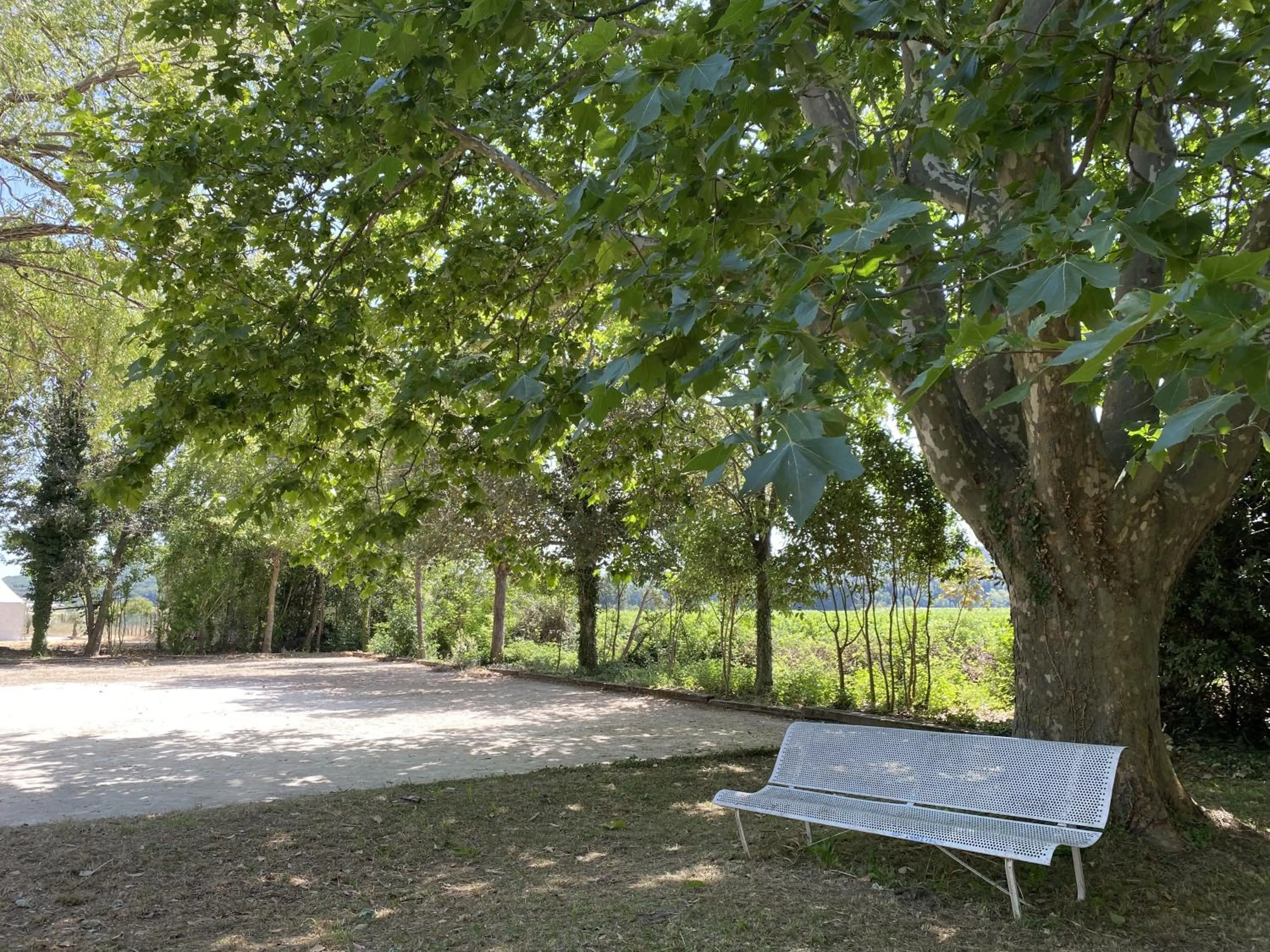 Garden in Domaine de la Reynaude