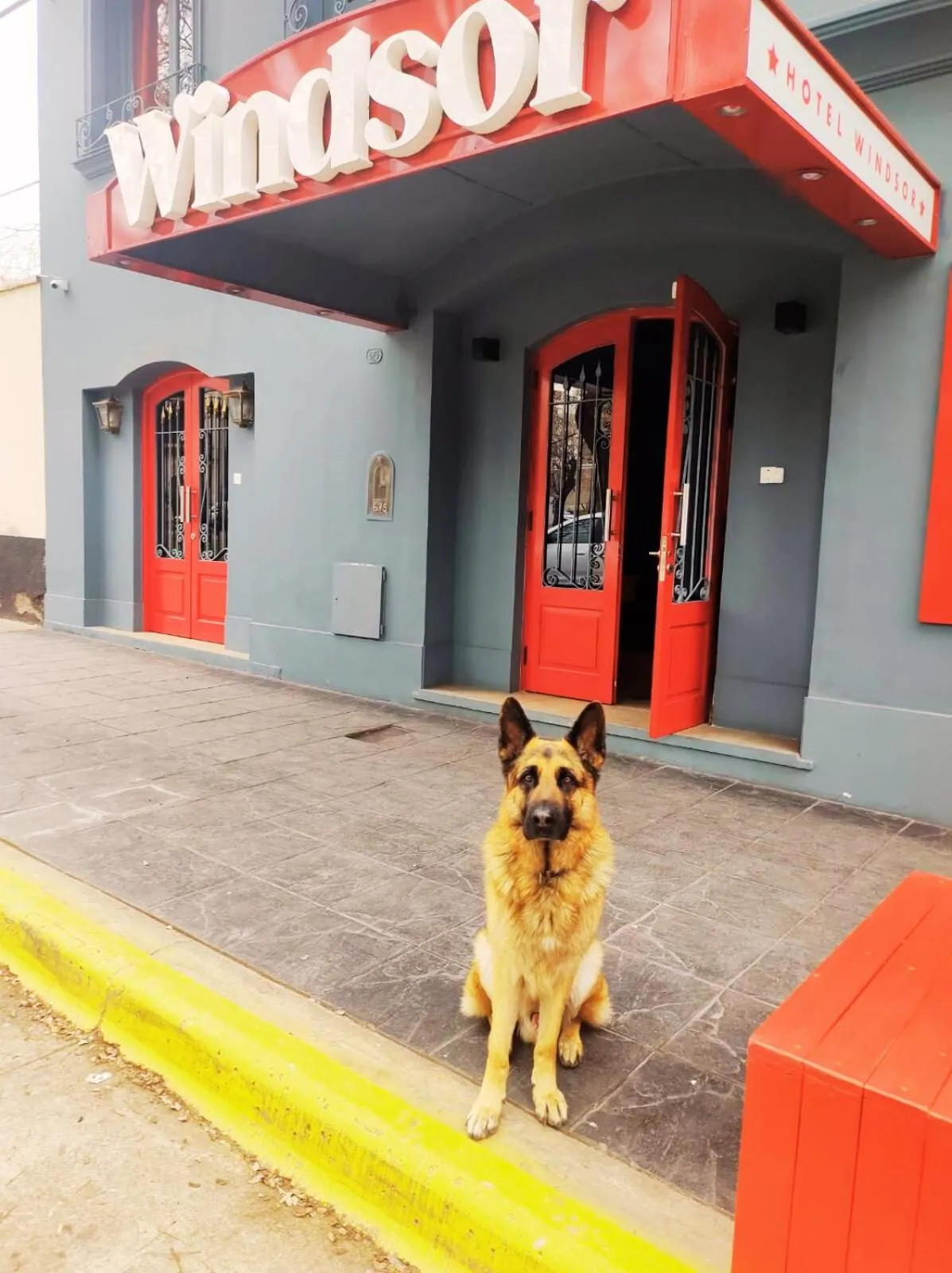 Property building in Hotel Windsor Mendoza