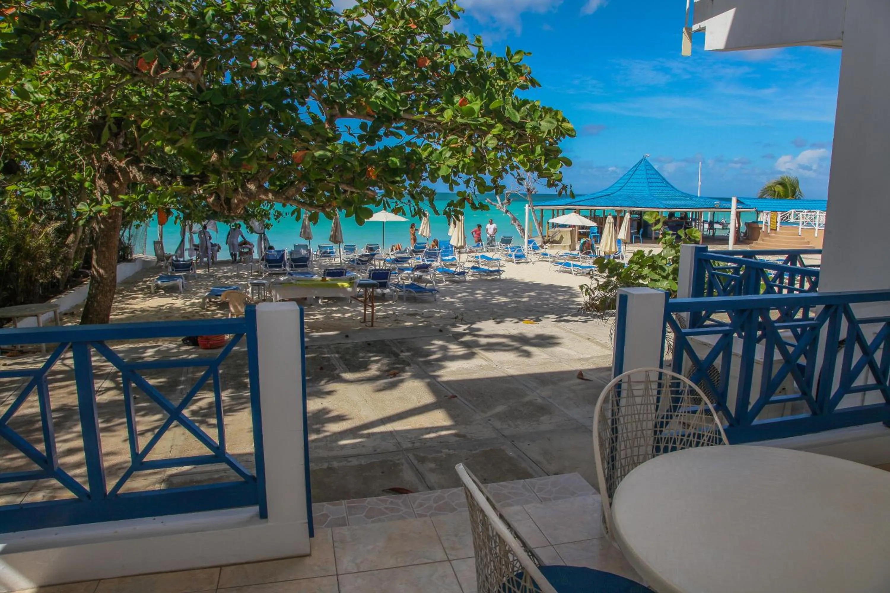 Restaurant/places to eat in Negril Treehouse Resort