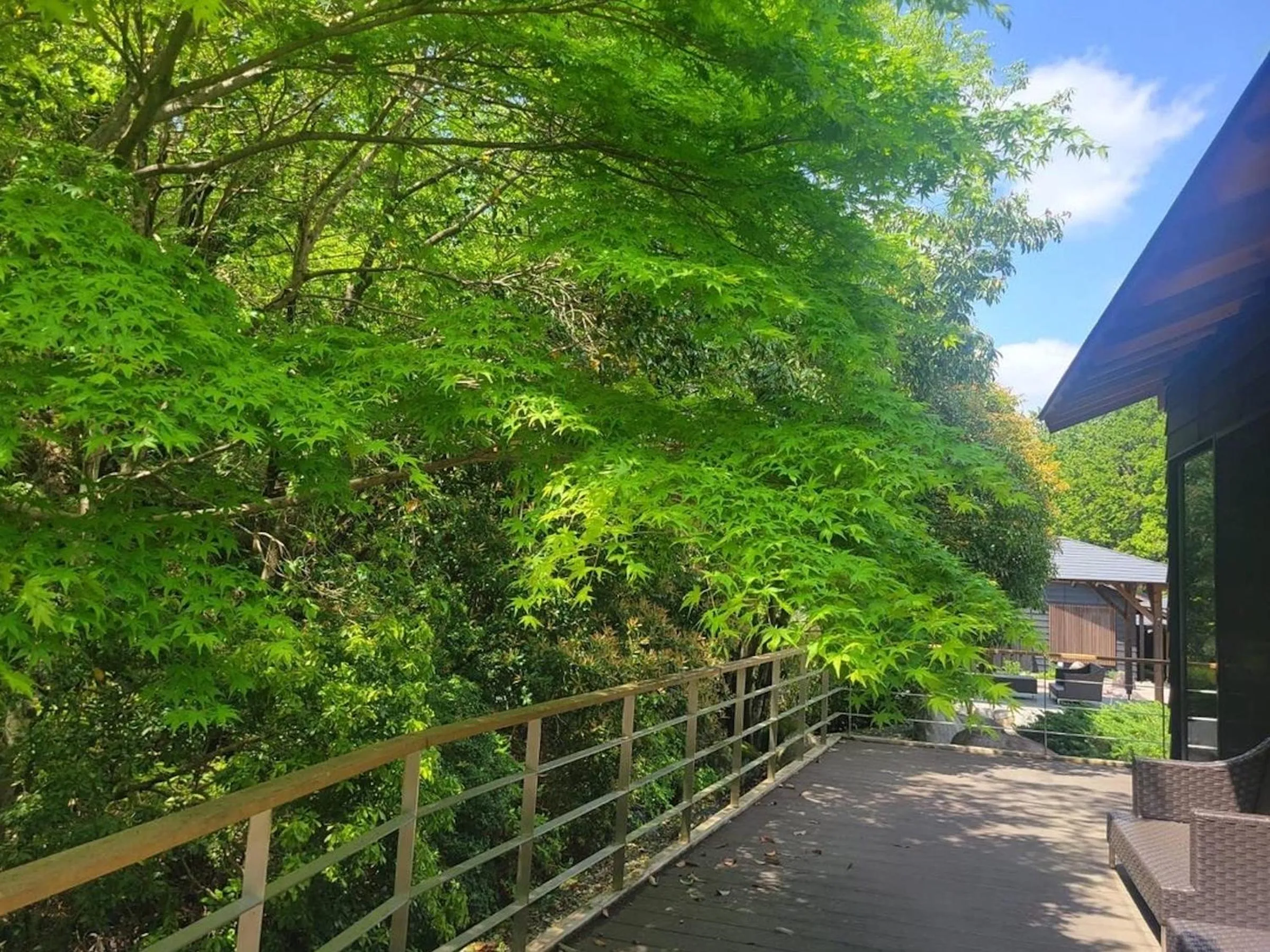 Balcony/Terrace in Tsukiyominoza
