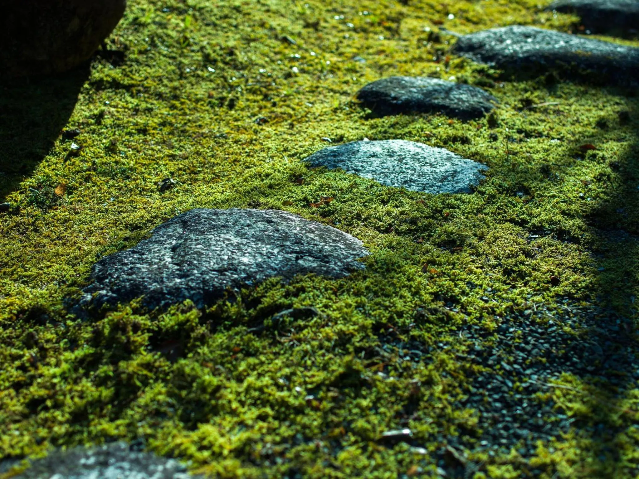 Garden in Tsukiyominoza
