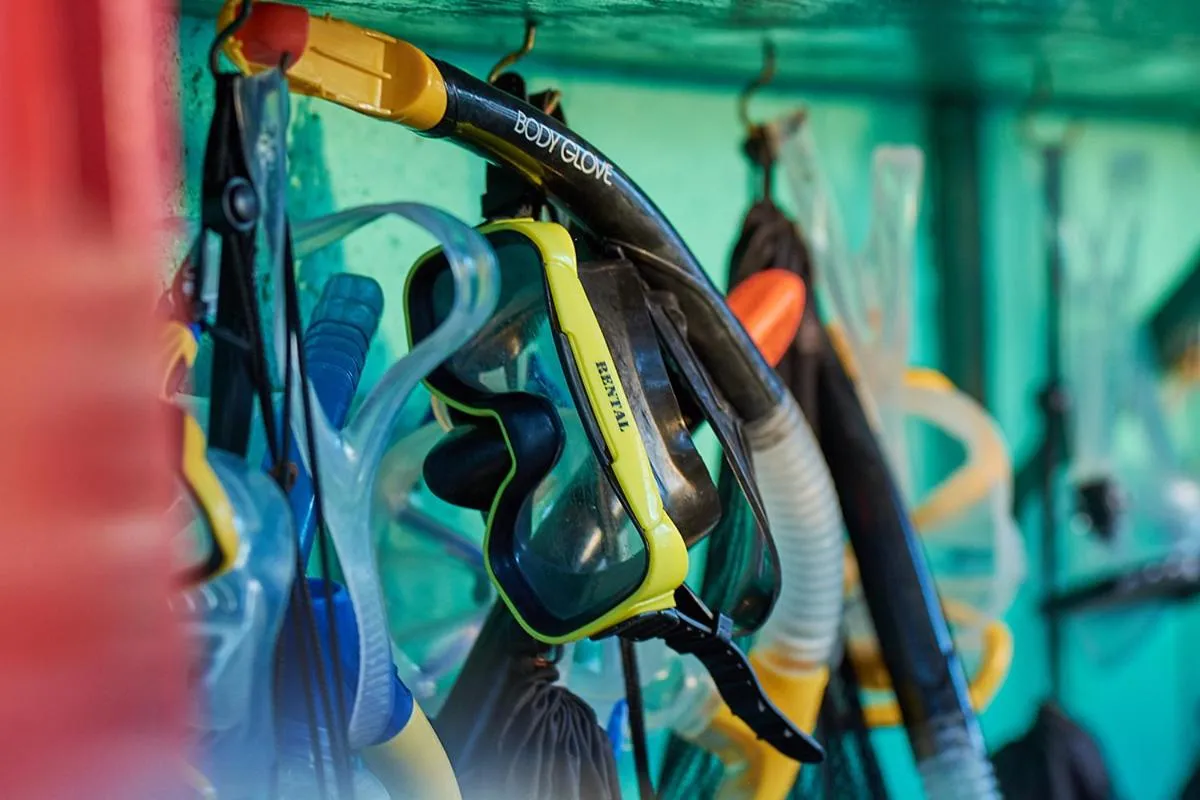 Snorkeling in Jakes Hotel