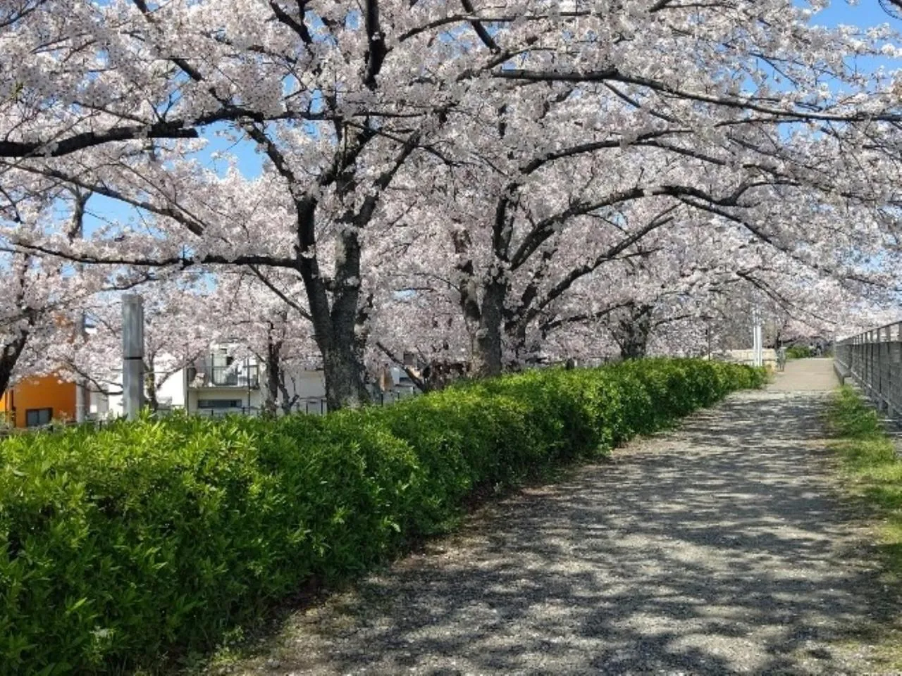 Nearby landmark in REF Kansai Airport by VESSEL HOTELS