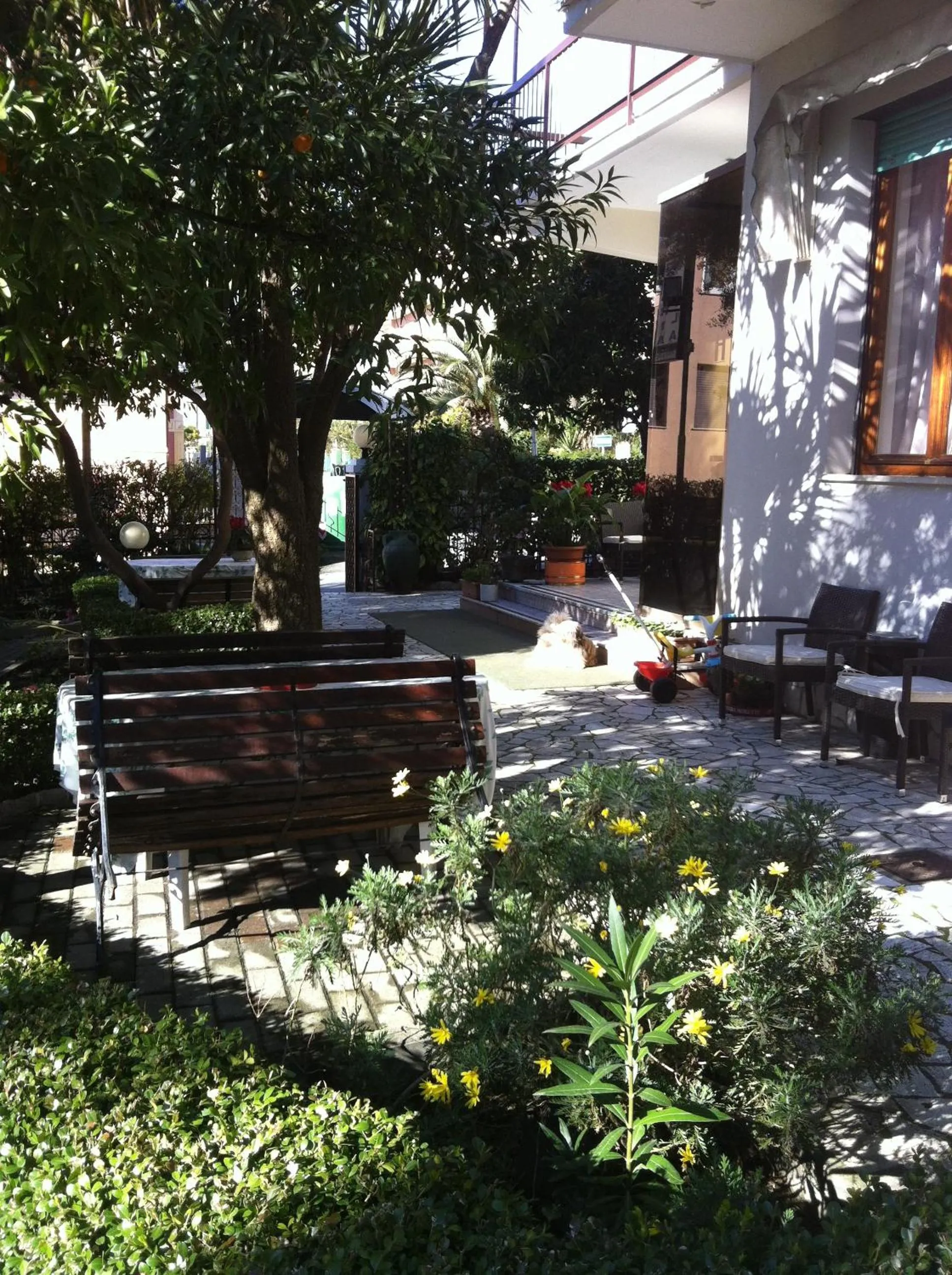 Garden in Hotel Villa Gloria