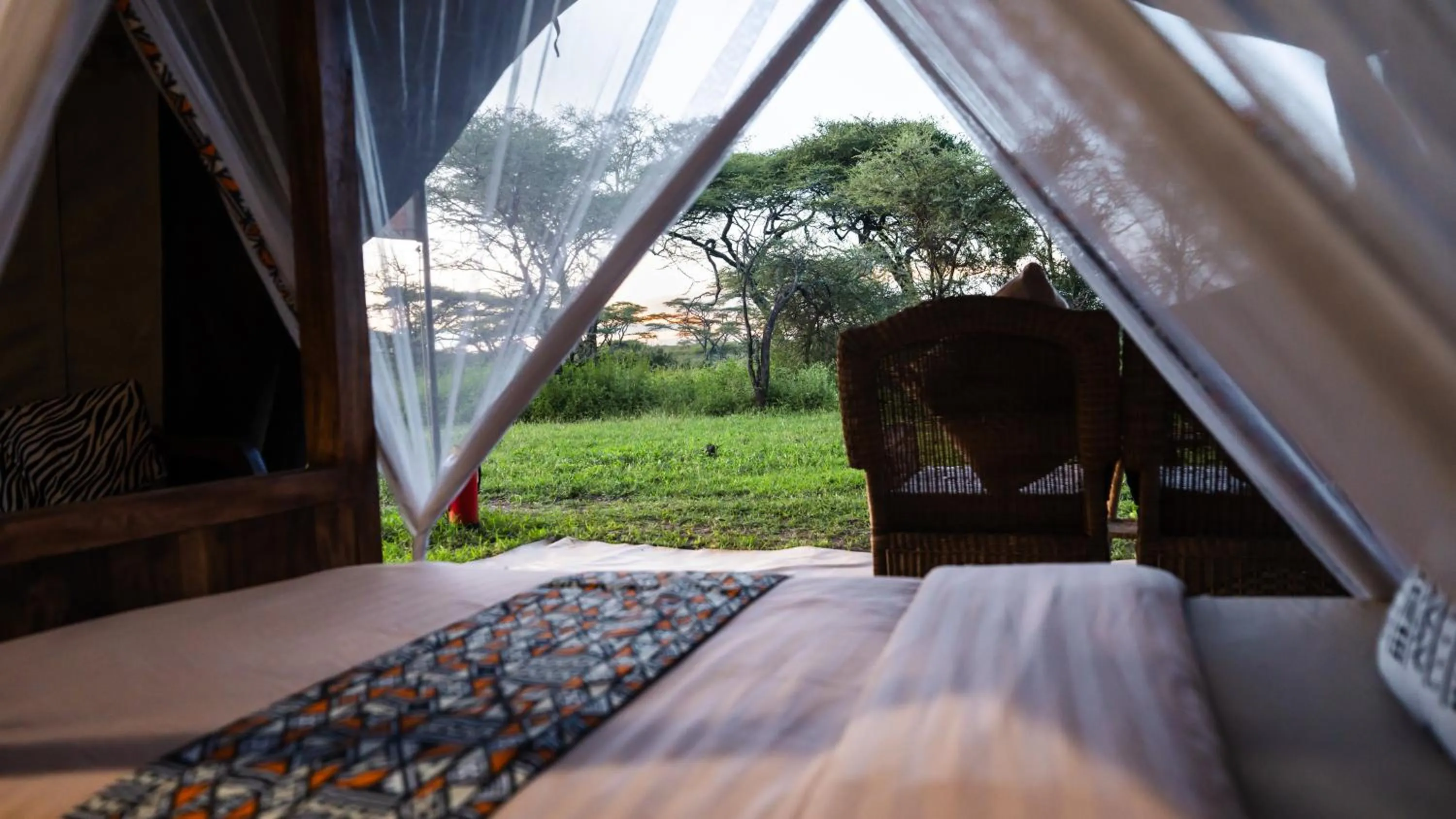 View (from property/room), Bed in Africa Safari South Serengeti Ndutu Ngorongoro