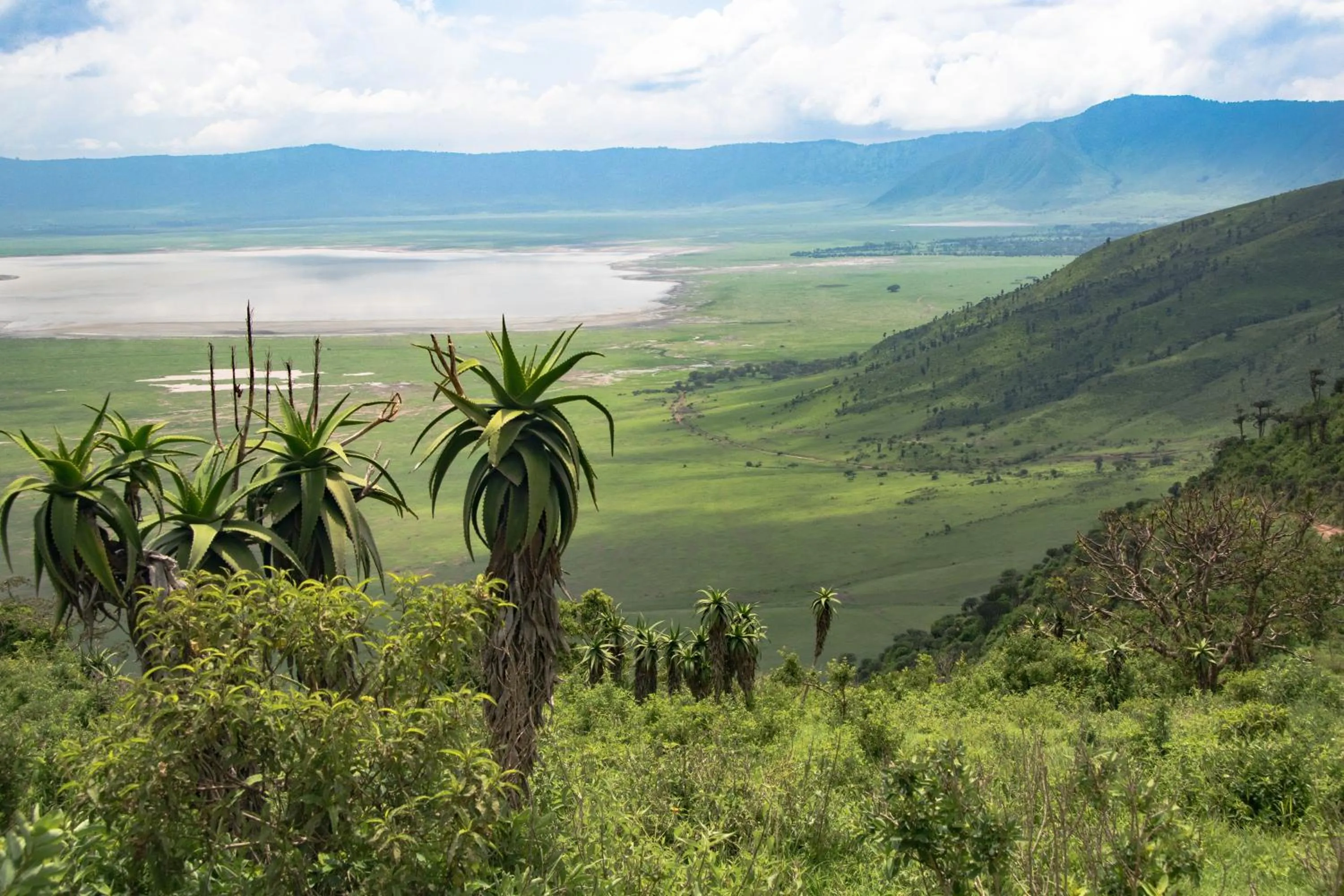 Natural landscape in Africa Safari South Serengeti Ndutu Ngorongoro