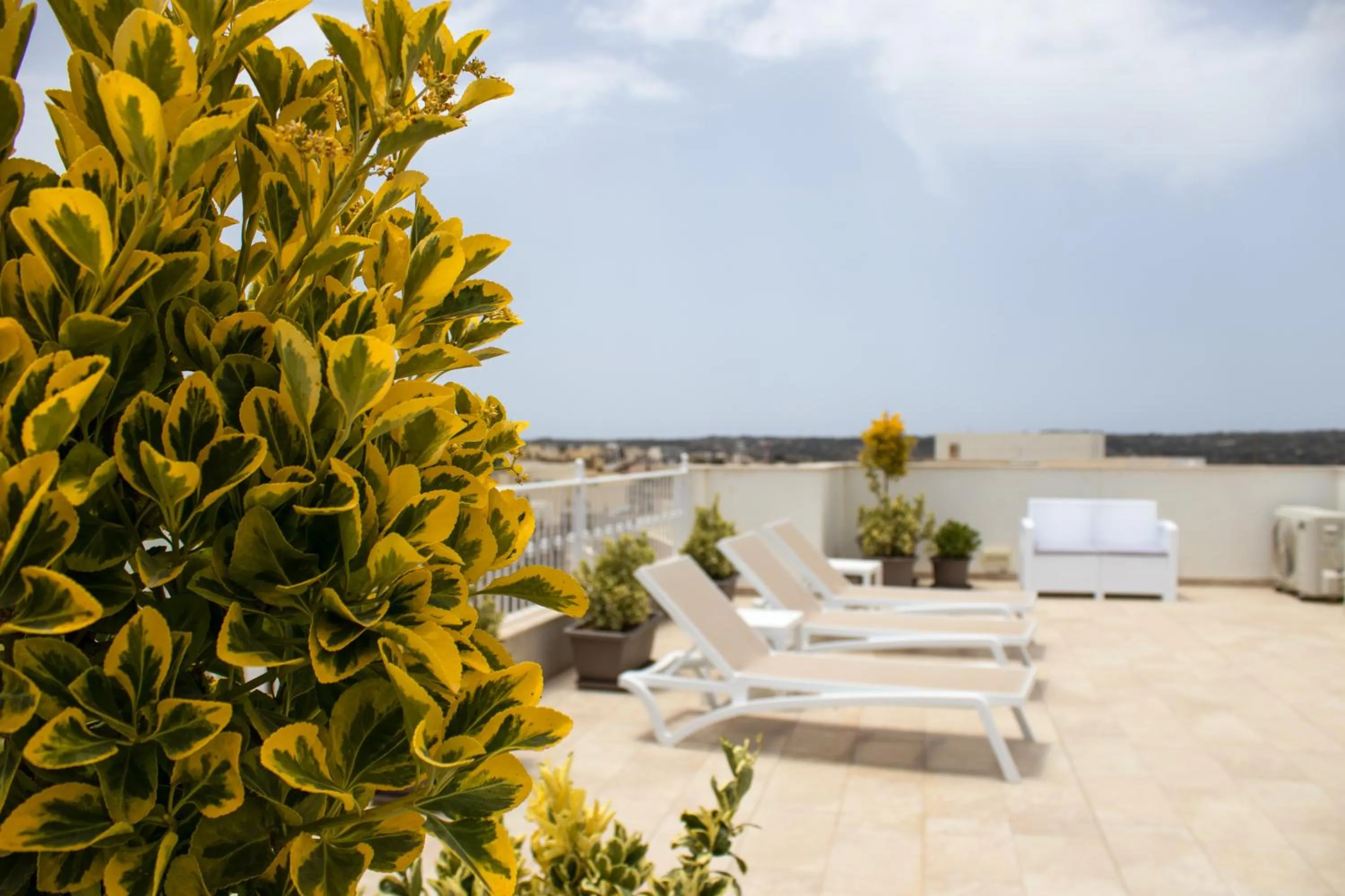 Balcony/Terrace in 100 Boutique Living
