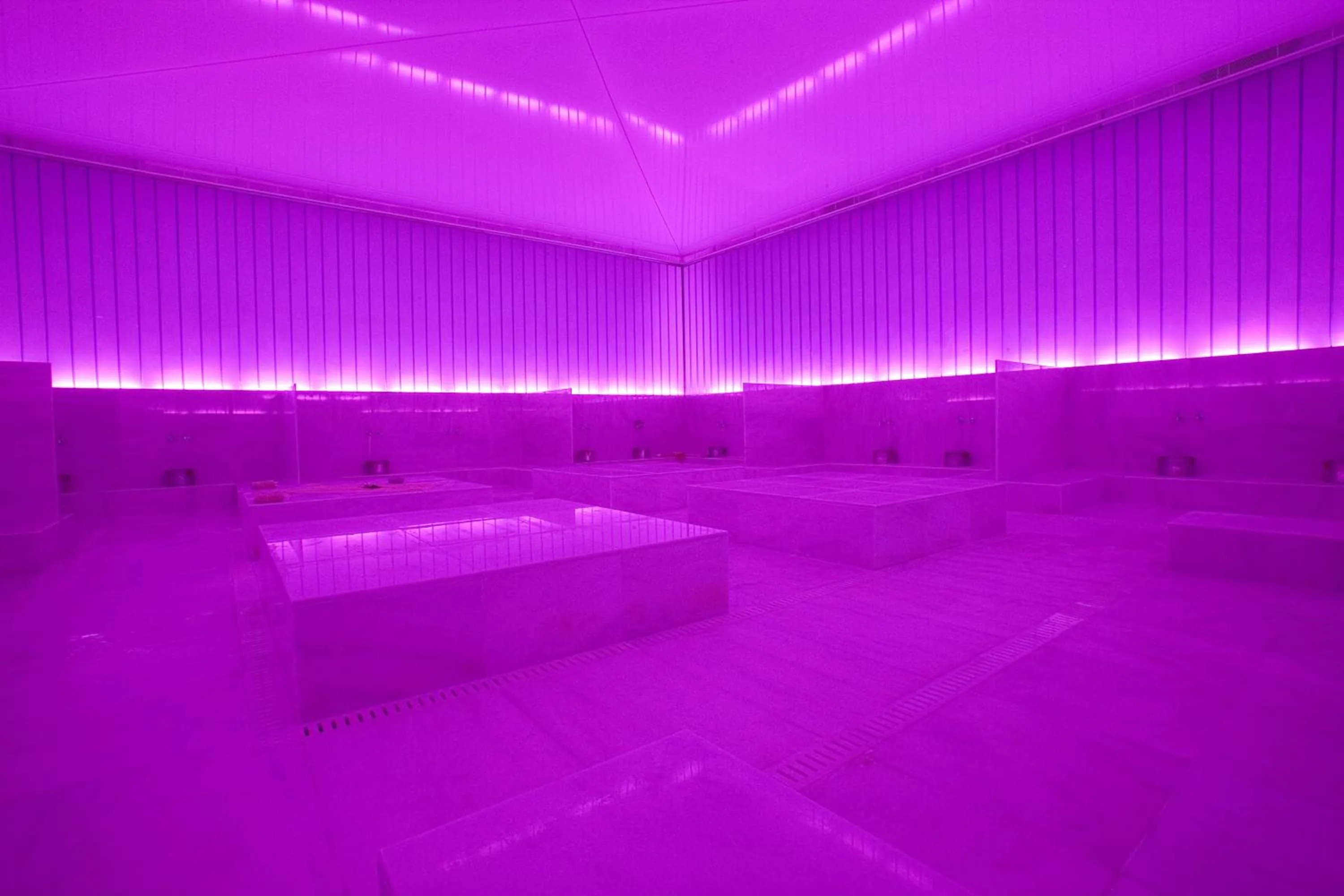 Public Bath in Adam & Eve - Adult Only