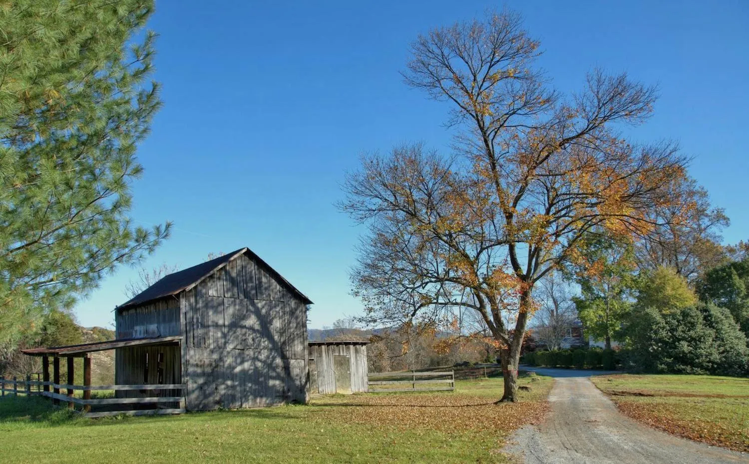 View (from property/room) in Red Hill Bed and Breakfast