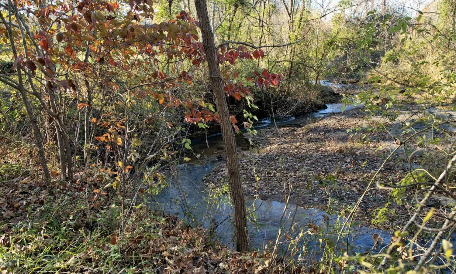 Natural landscape in Red Hill Bed and Breakfast