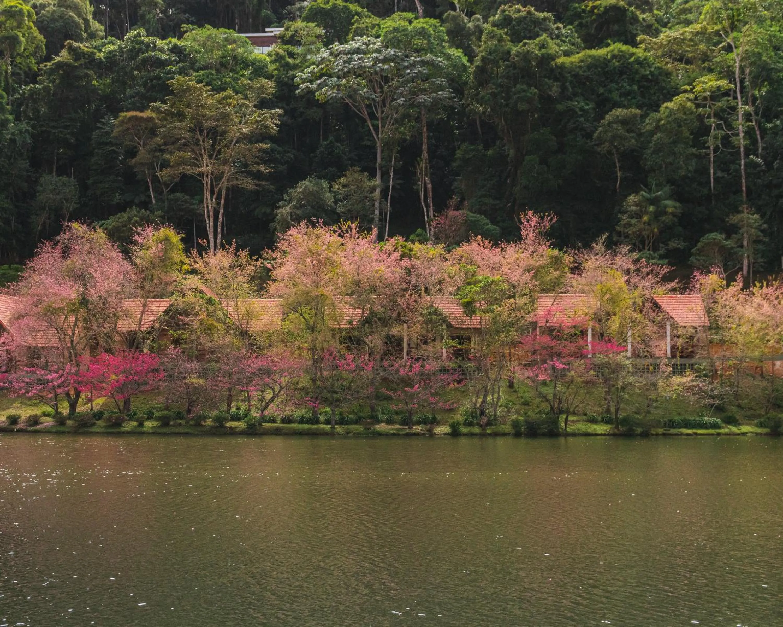 Natural landscape in Natureza Eco Lodge