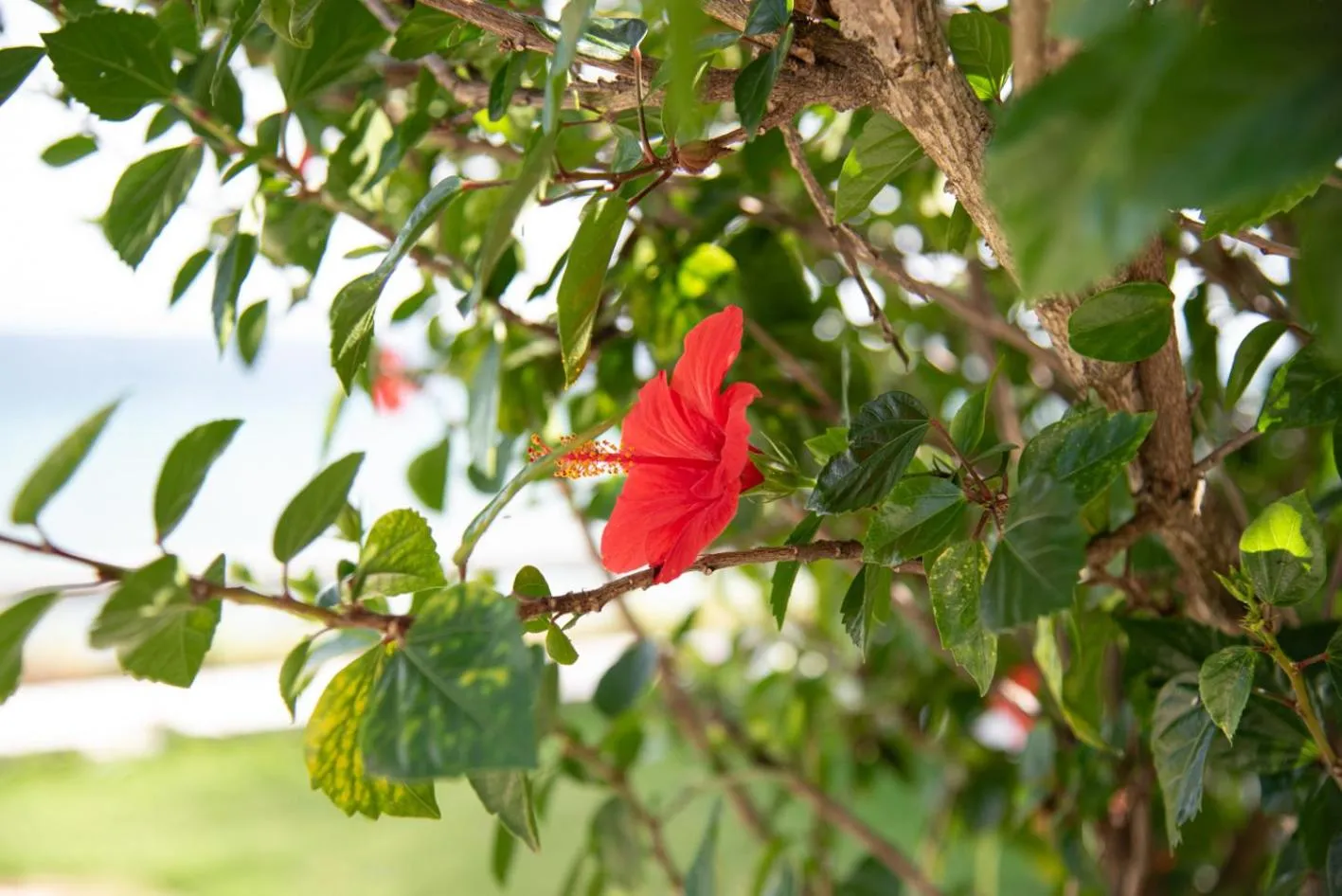 Kaiser Luxury Suites