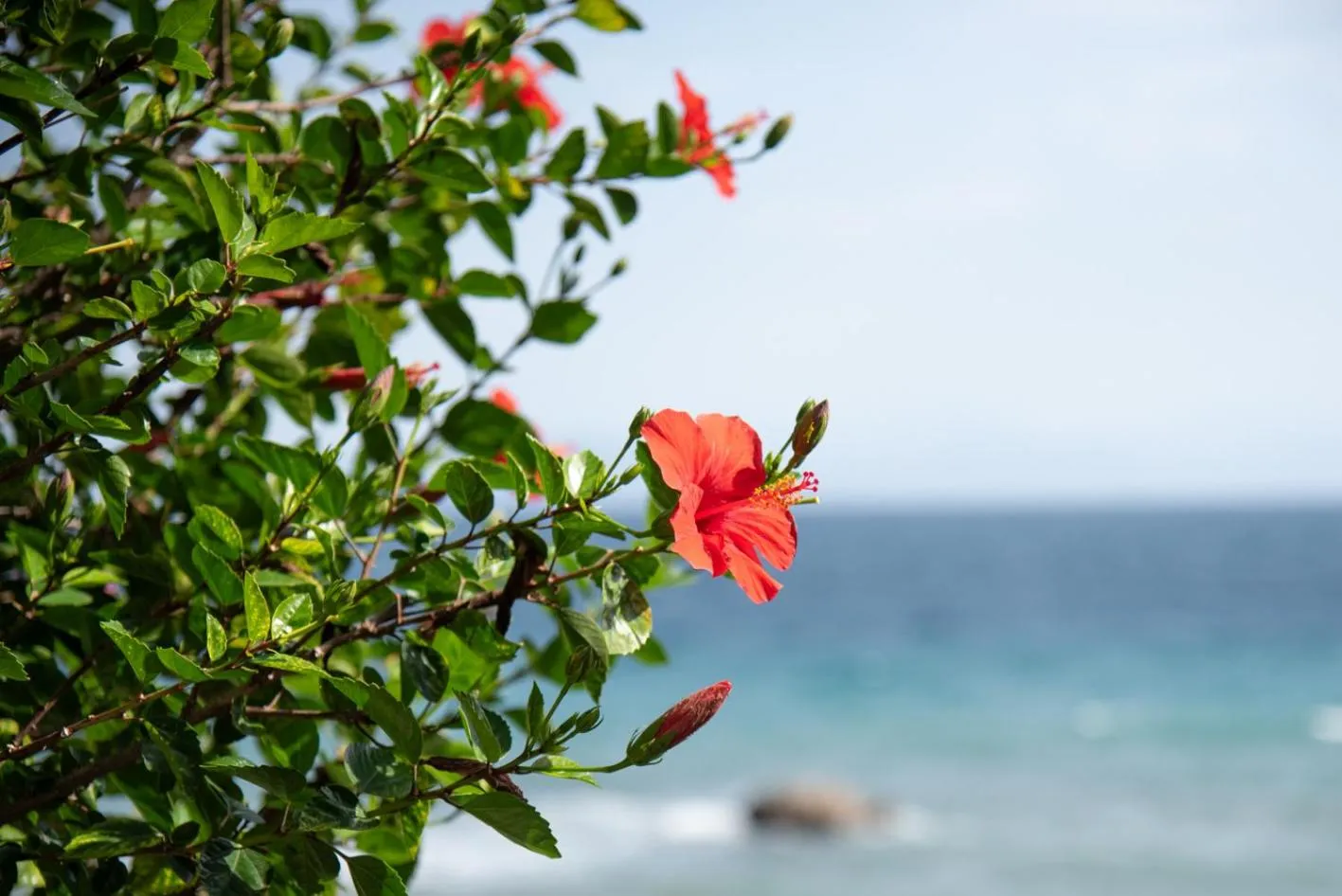 Kaiser Luxury Suites