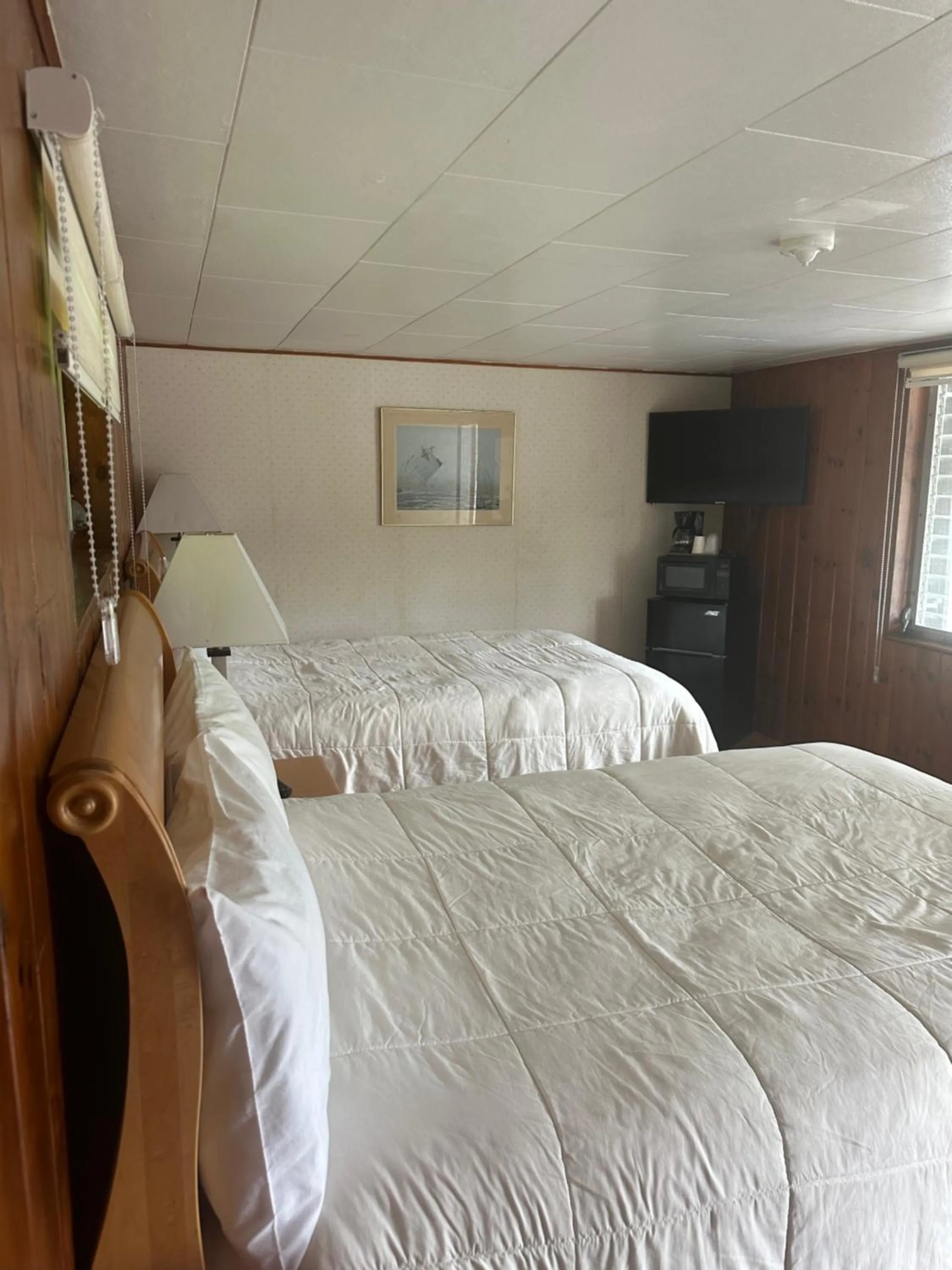 Photo of the whole room in Starlight Inn