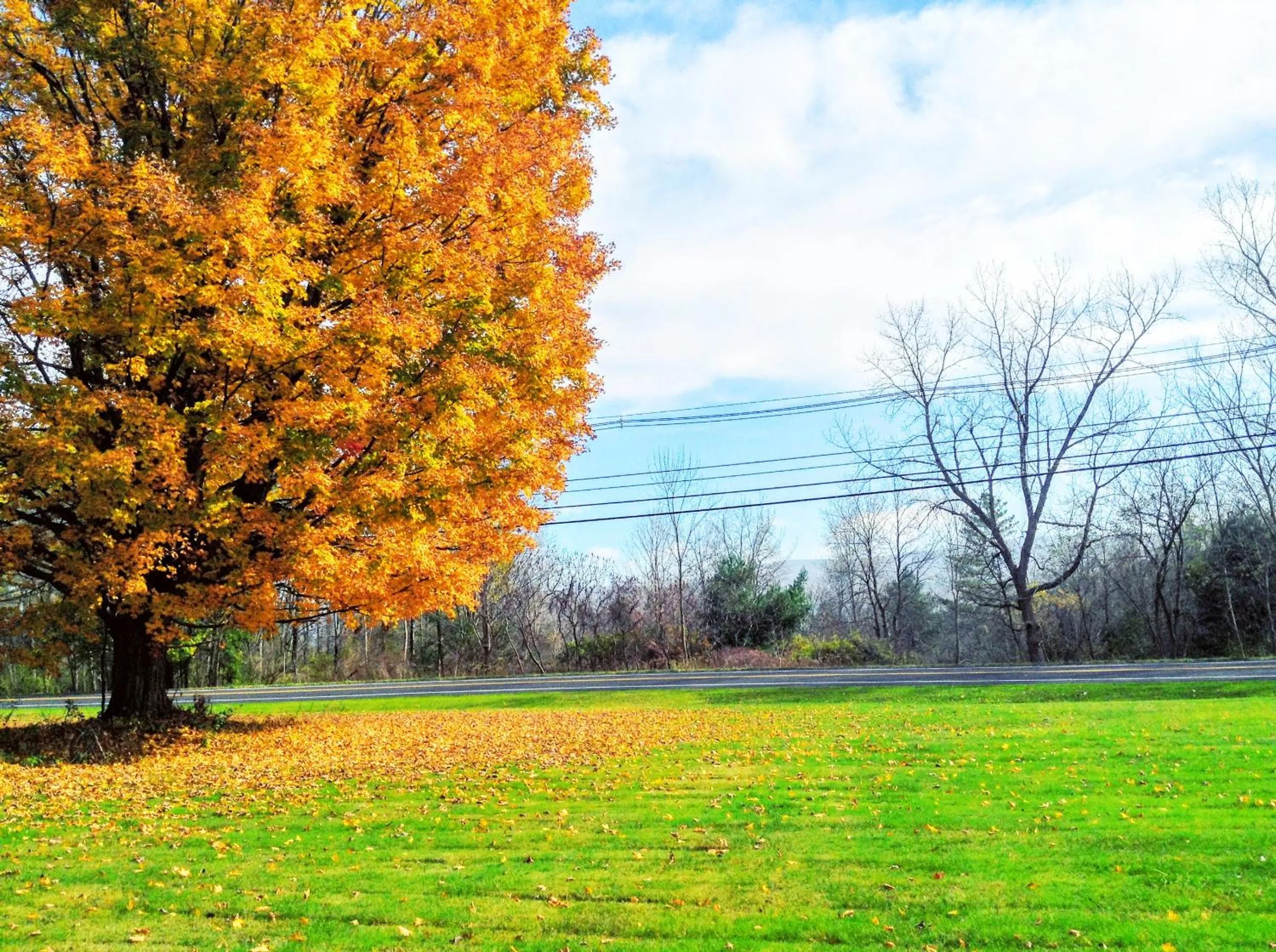 Spring in Starlight Inn