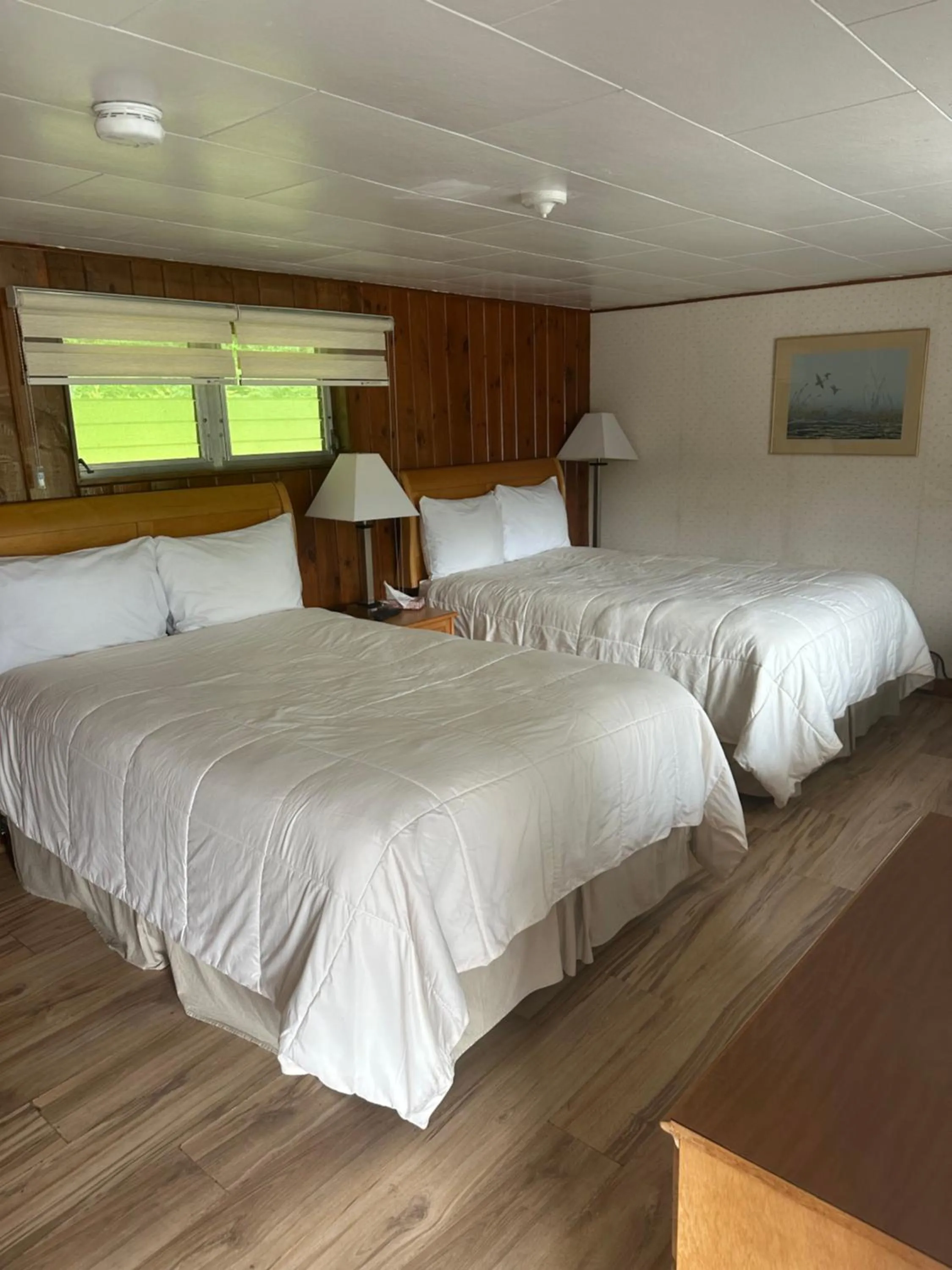 Photo of the whole room in Starlight Inn