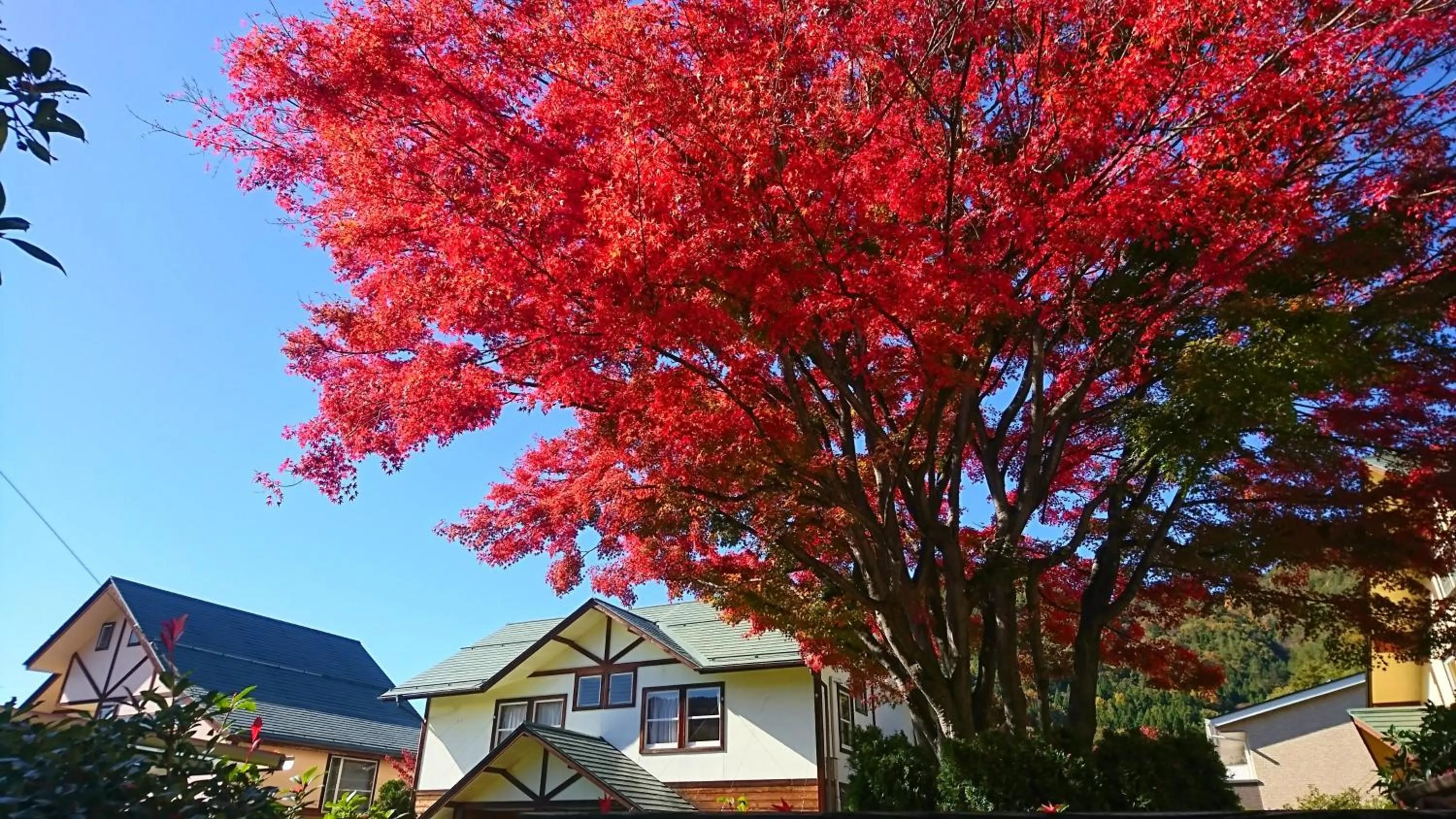 Autumn in Lake Villa Kawaguchiko
