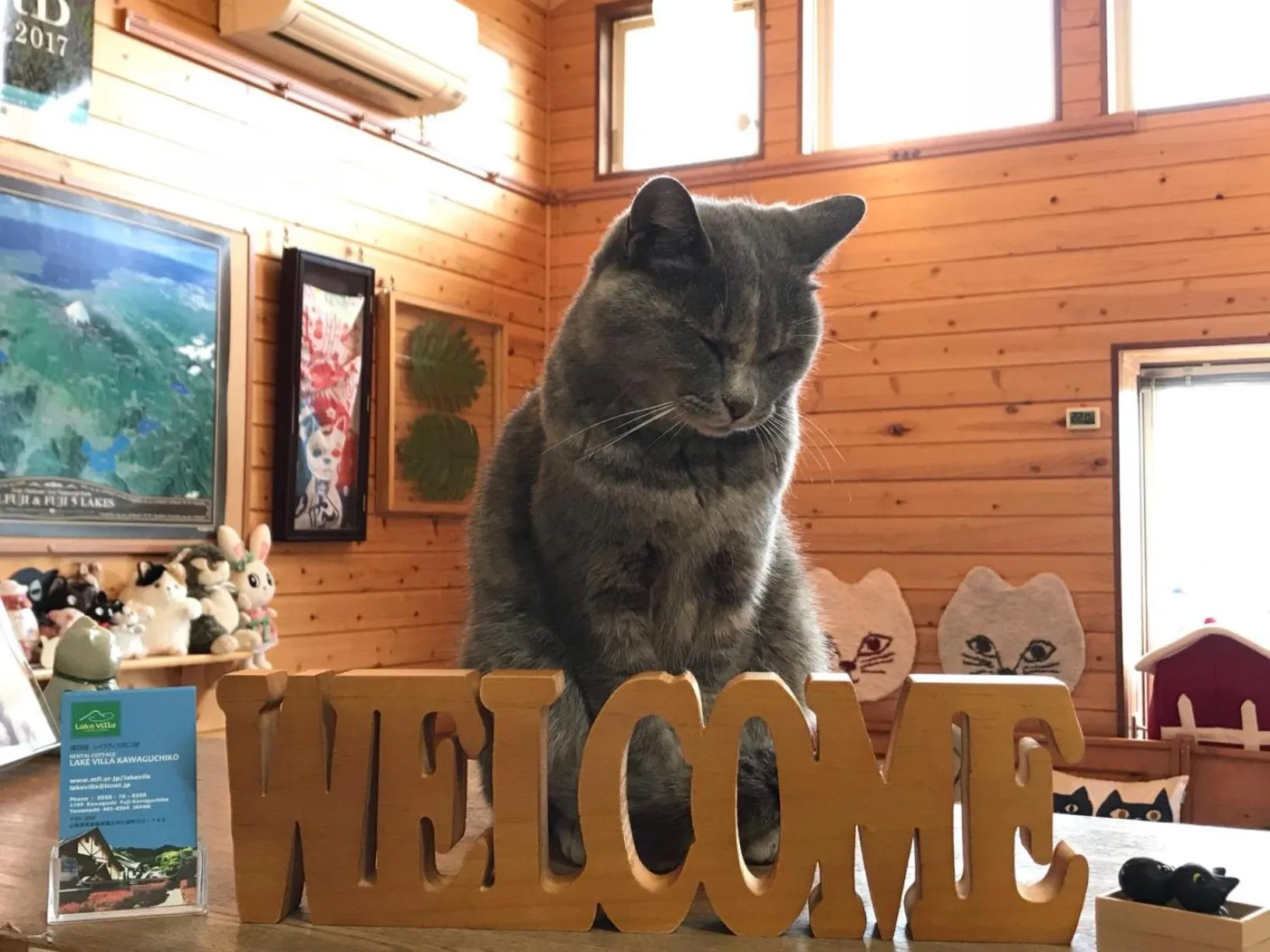 Lobby or reception in Lake Villa Kawaguchiko