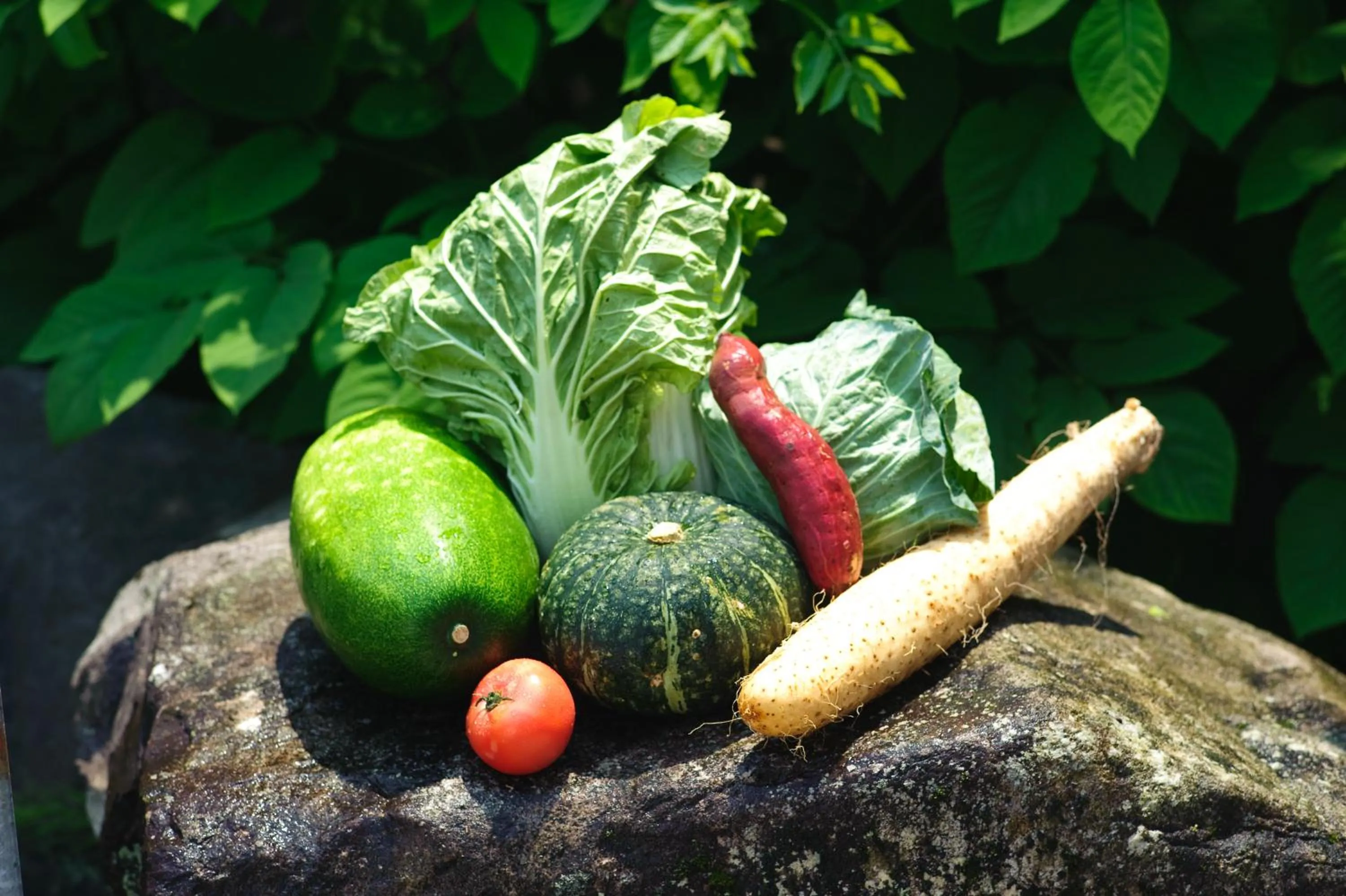 Food in Yuzawa New Otani