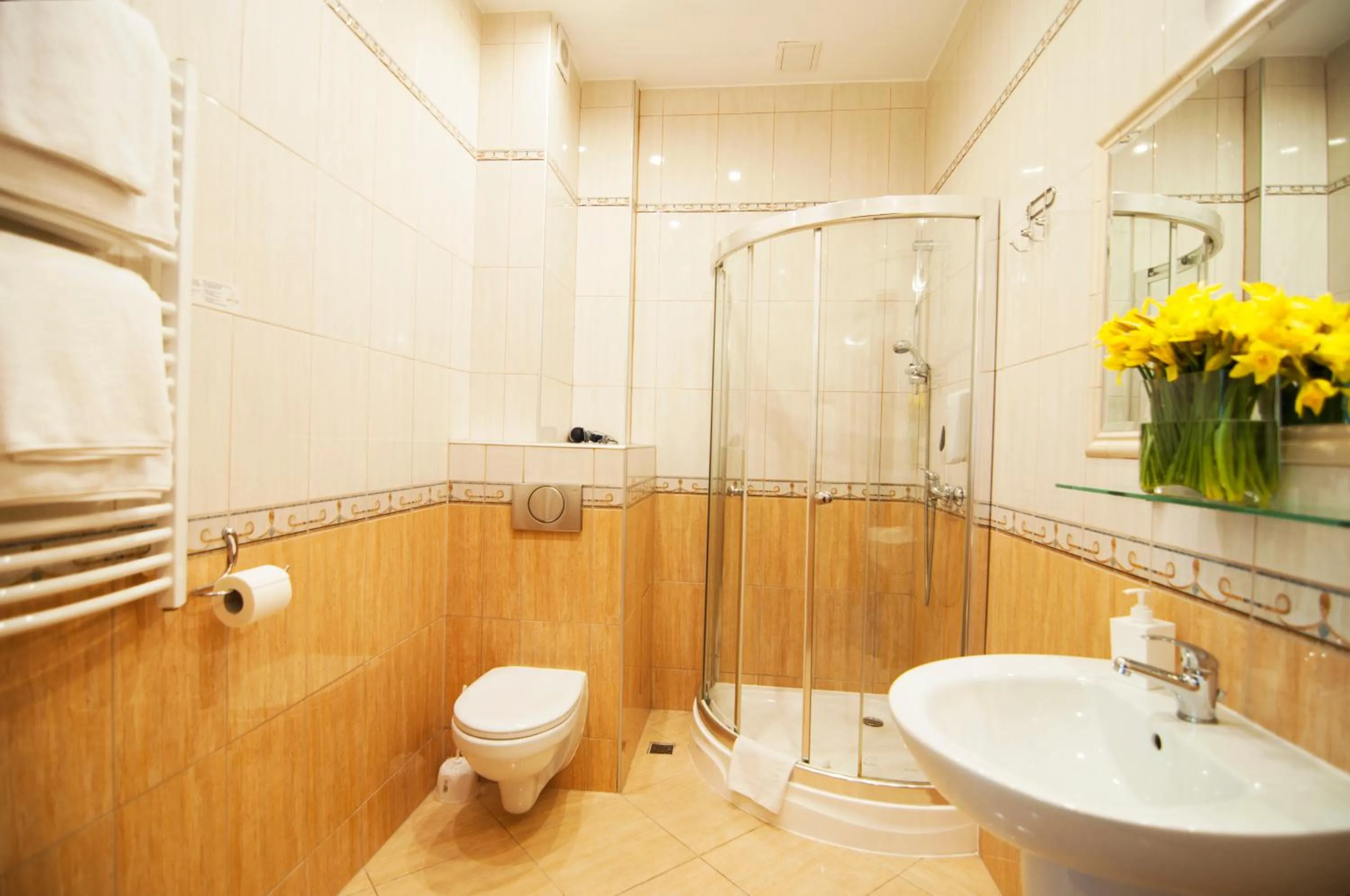 Shower in Hotel Artur