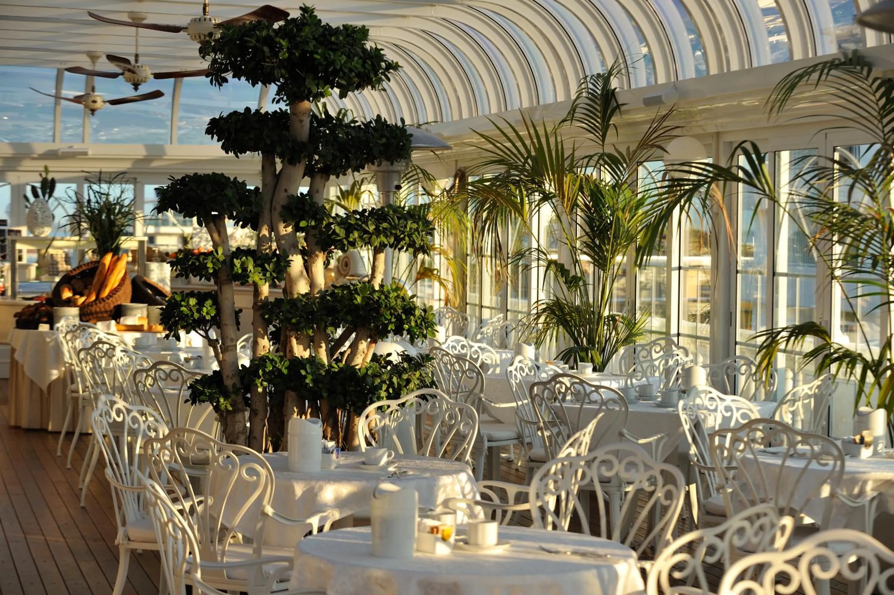 Restaurant/places to eat in Hotel Italia Palace