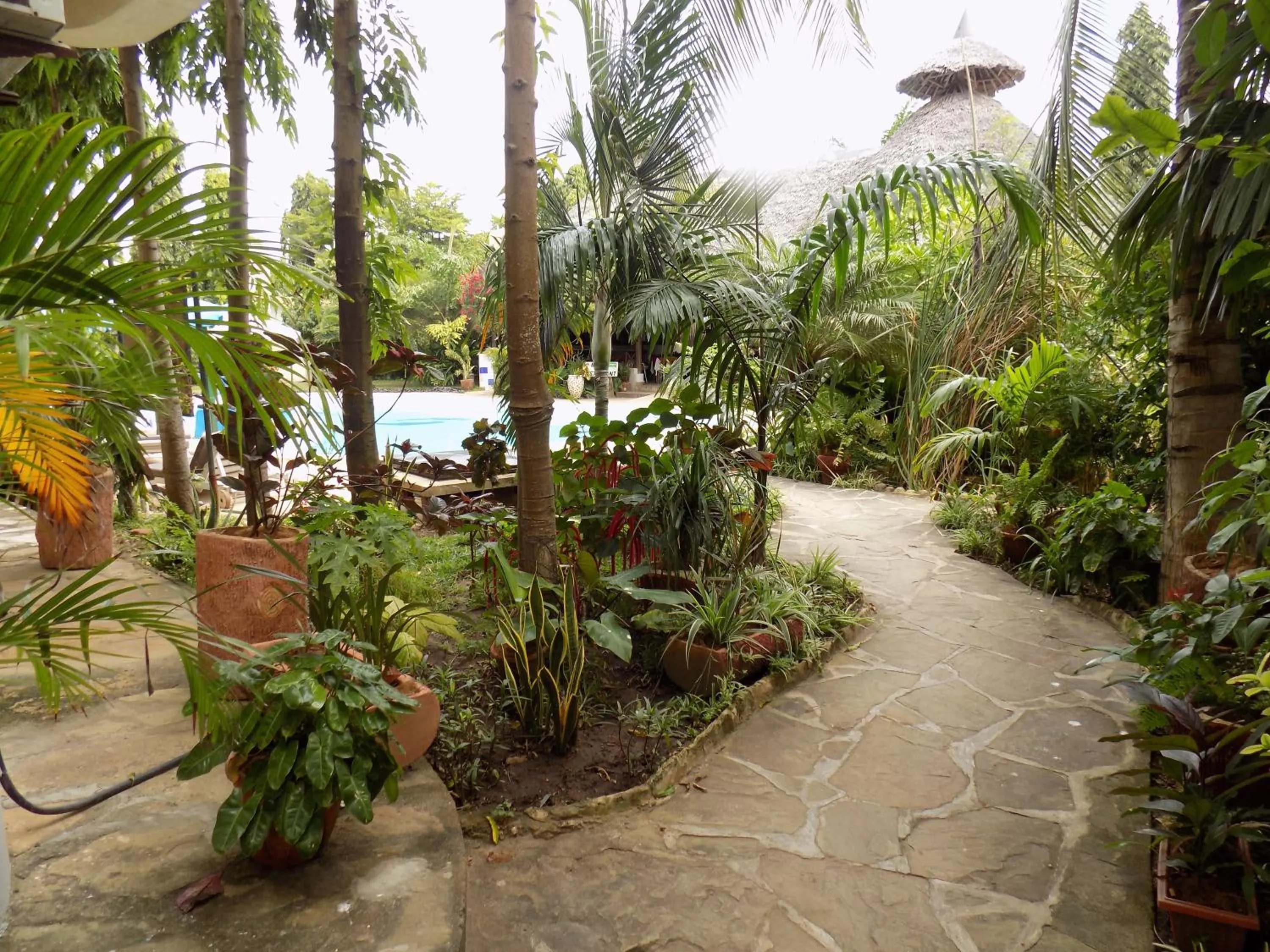 Area and facilities in Jacyjoka Apartments Nyali