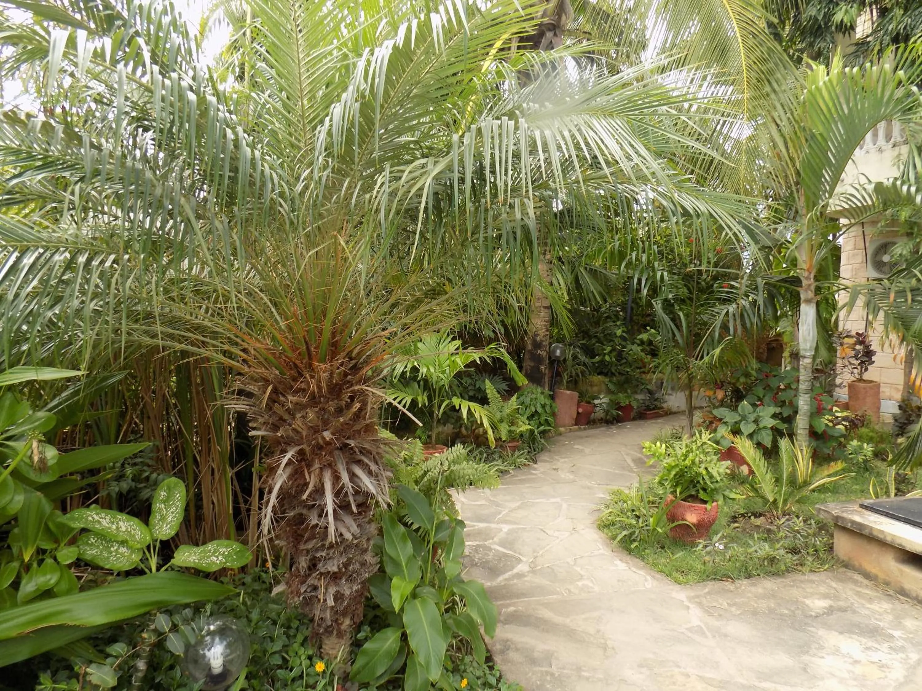 Area and facilities in Jacyjoka Apartments Nyali