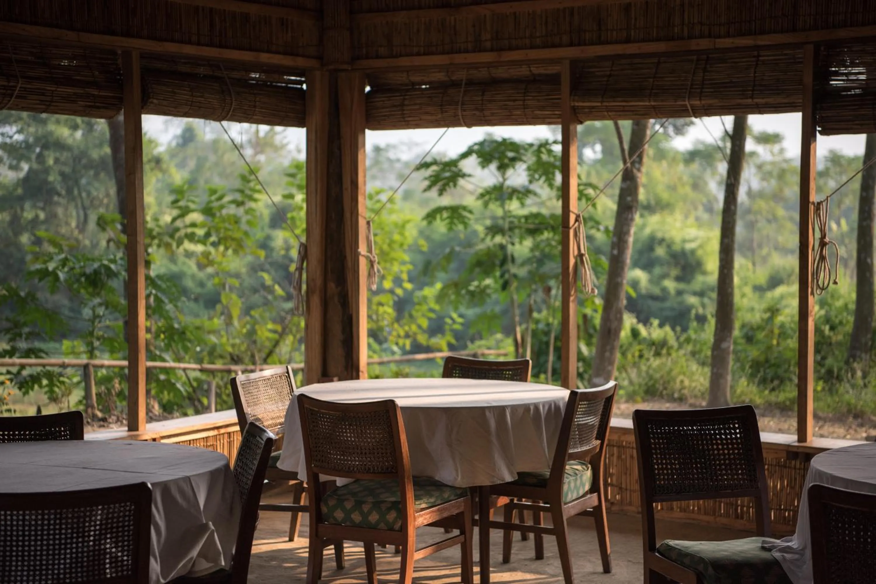 Restaurant/places to eat in Tiger Tops Tharu Lodge
