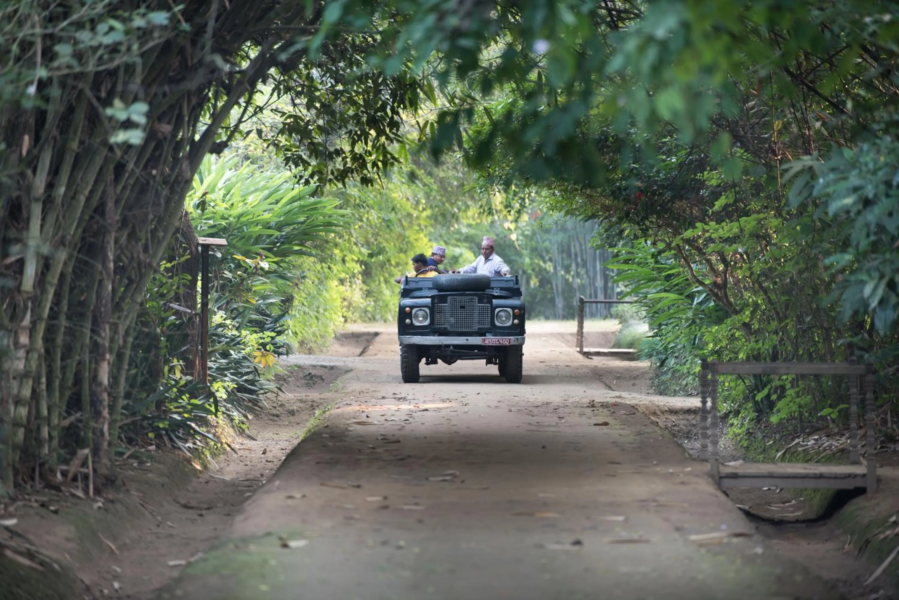 Activities in Tiger Tops Tharu Lodge