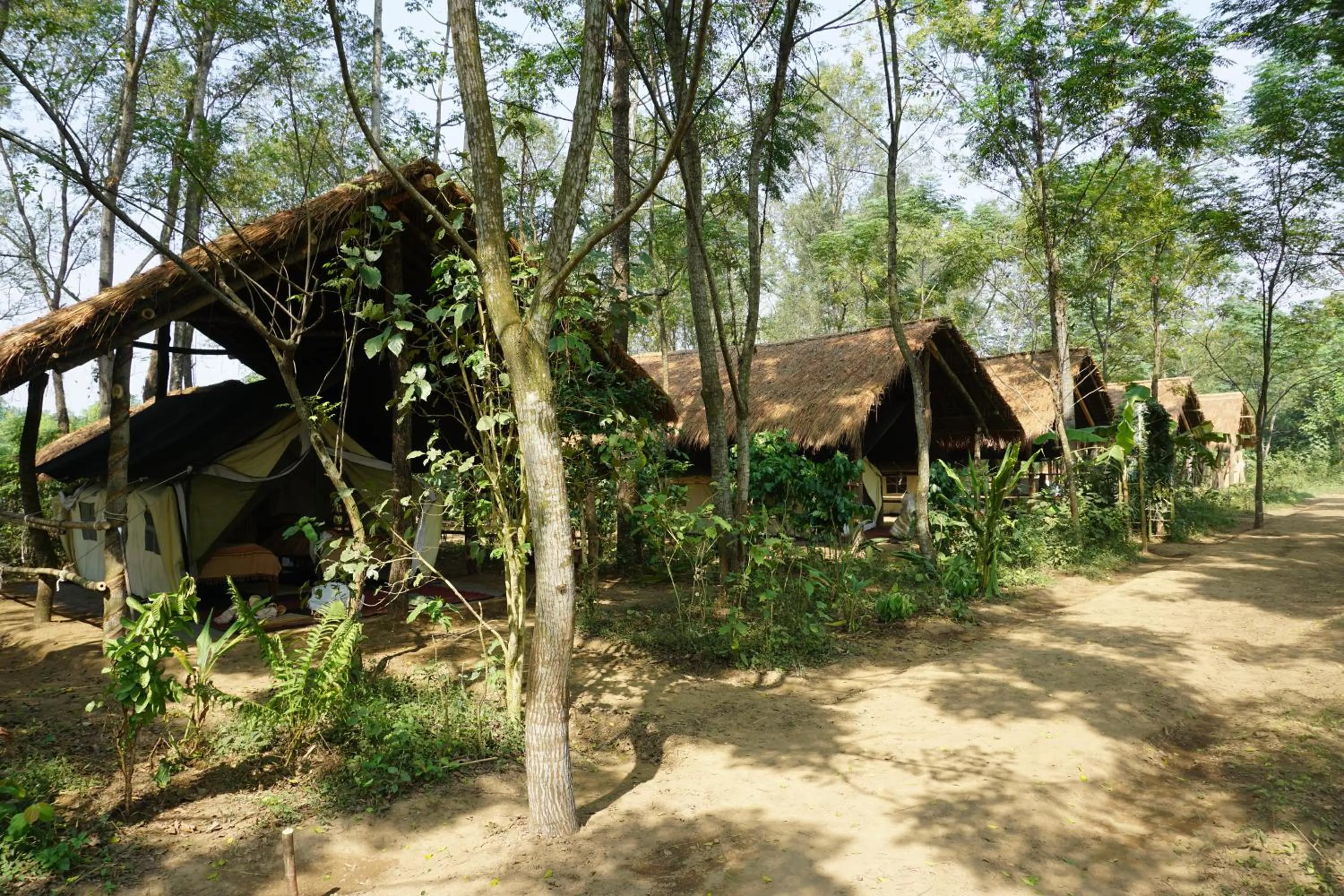 Property building in Tiger Tops Tharu Lodge