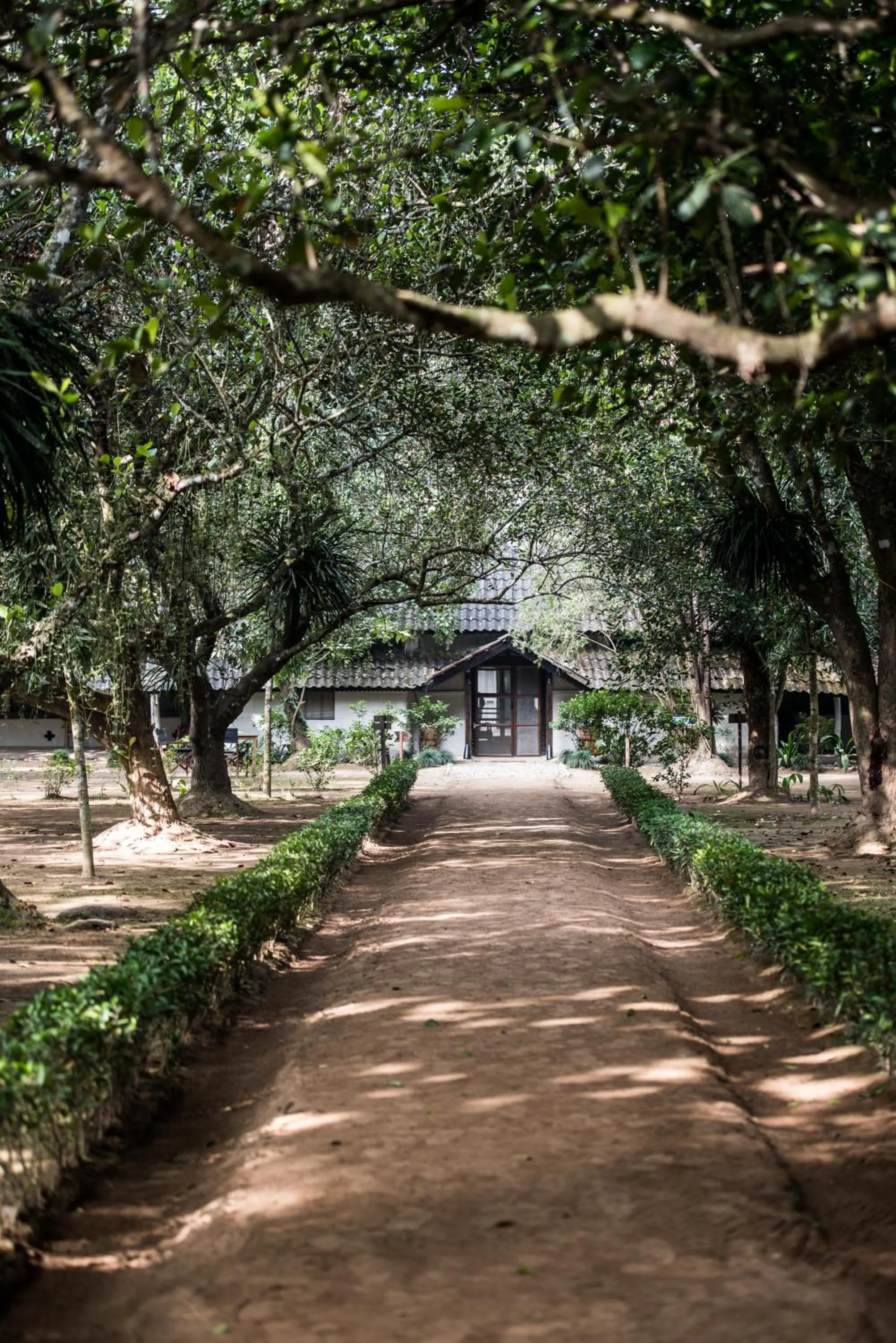 Property building in Tiger Tops Tharu Lodge