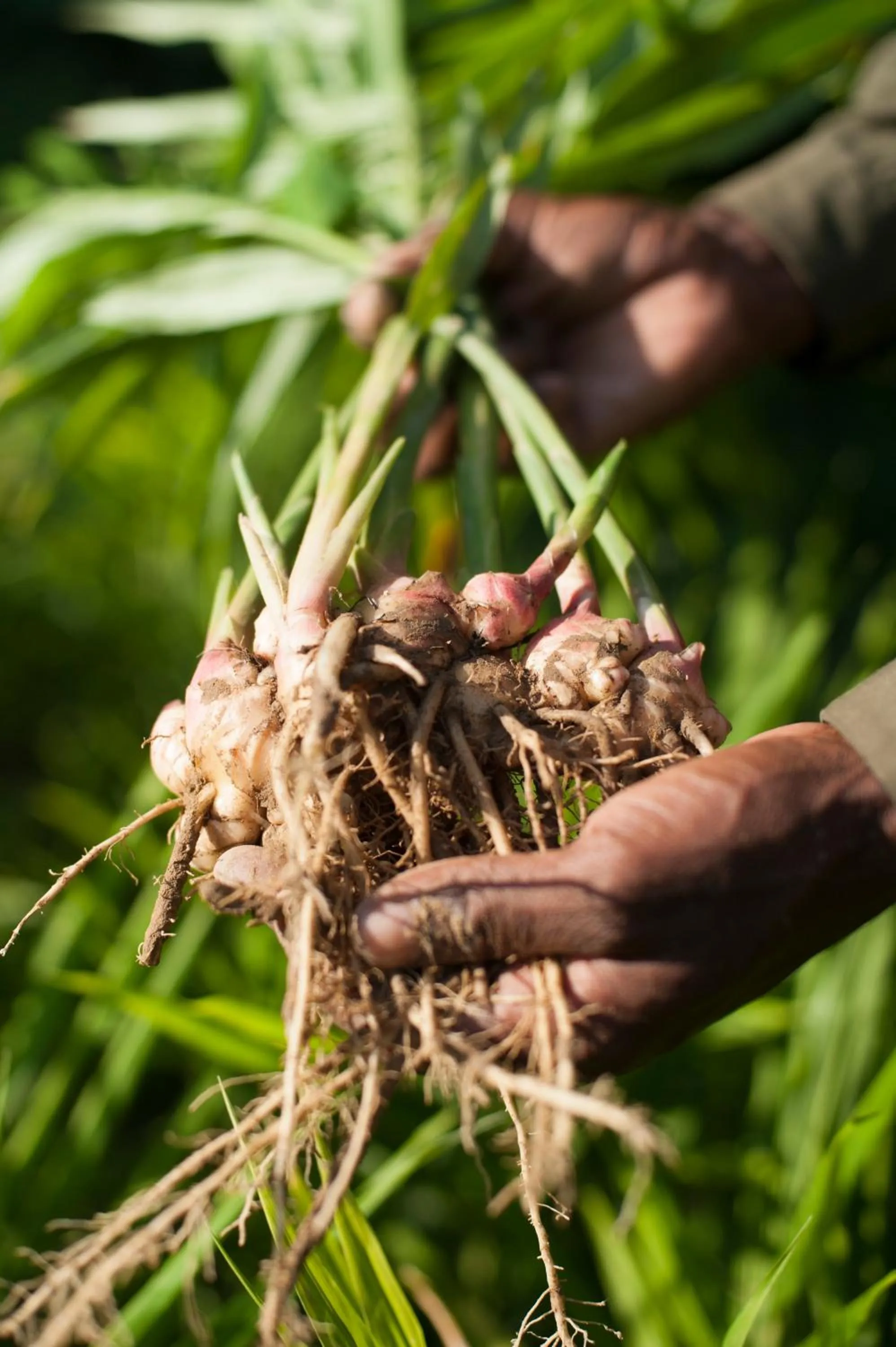 Property building in Tiger Tops Karnali Lodge