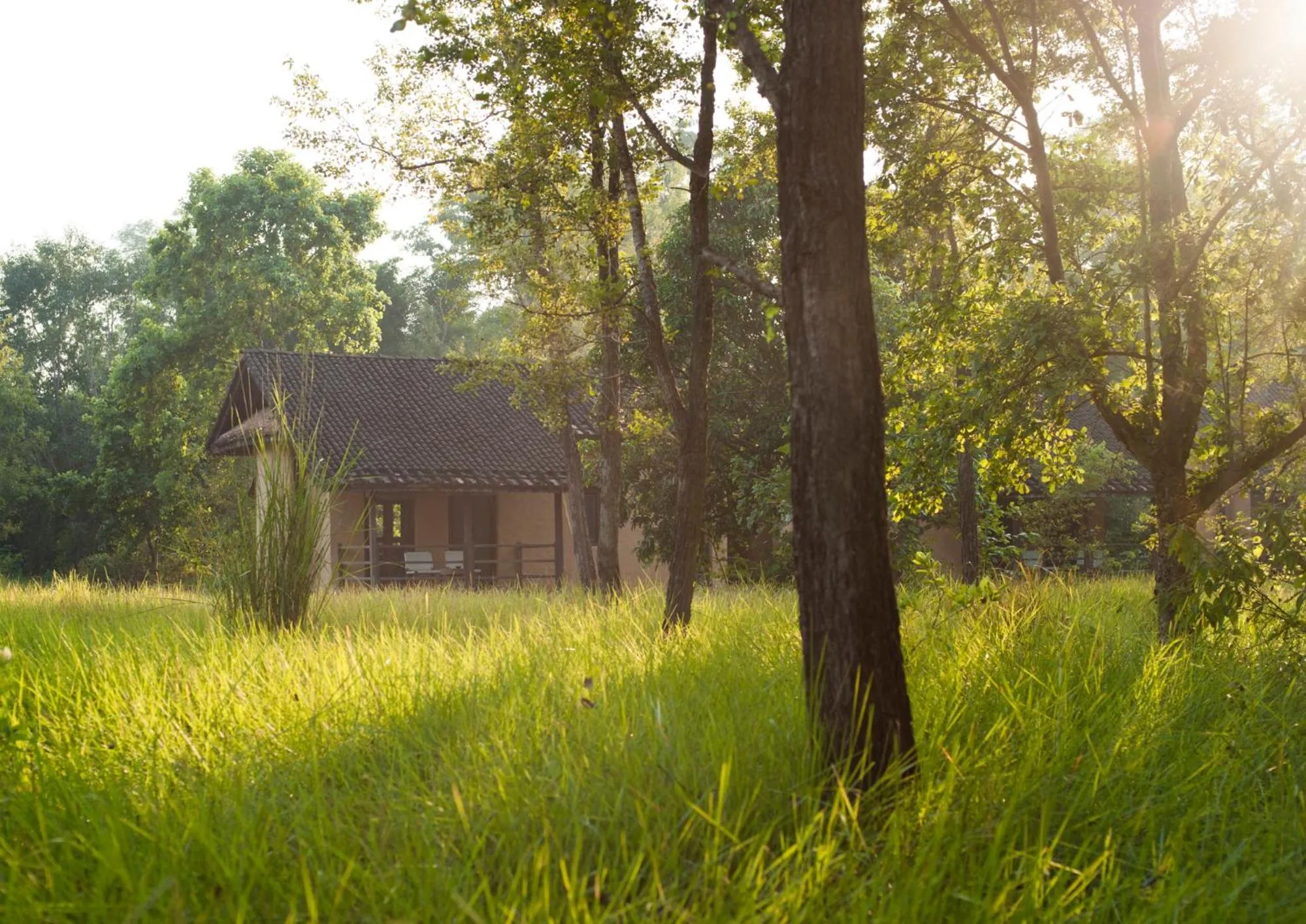 Property building in Tiger Tops Karnali Lodge