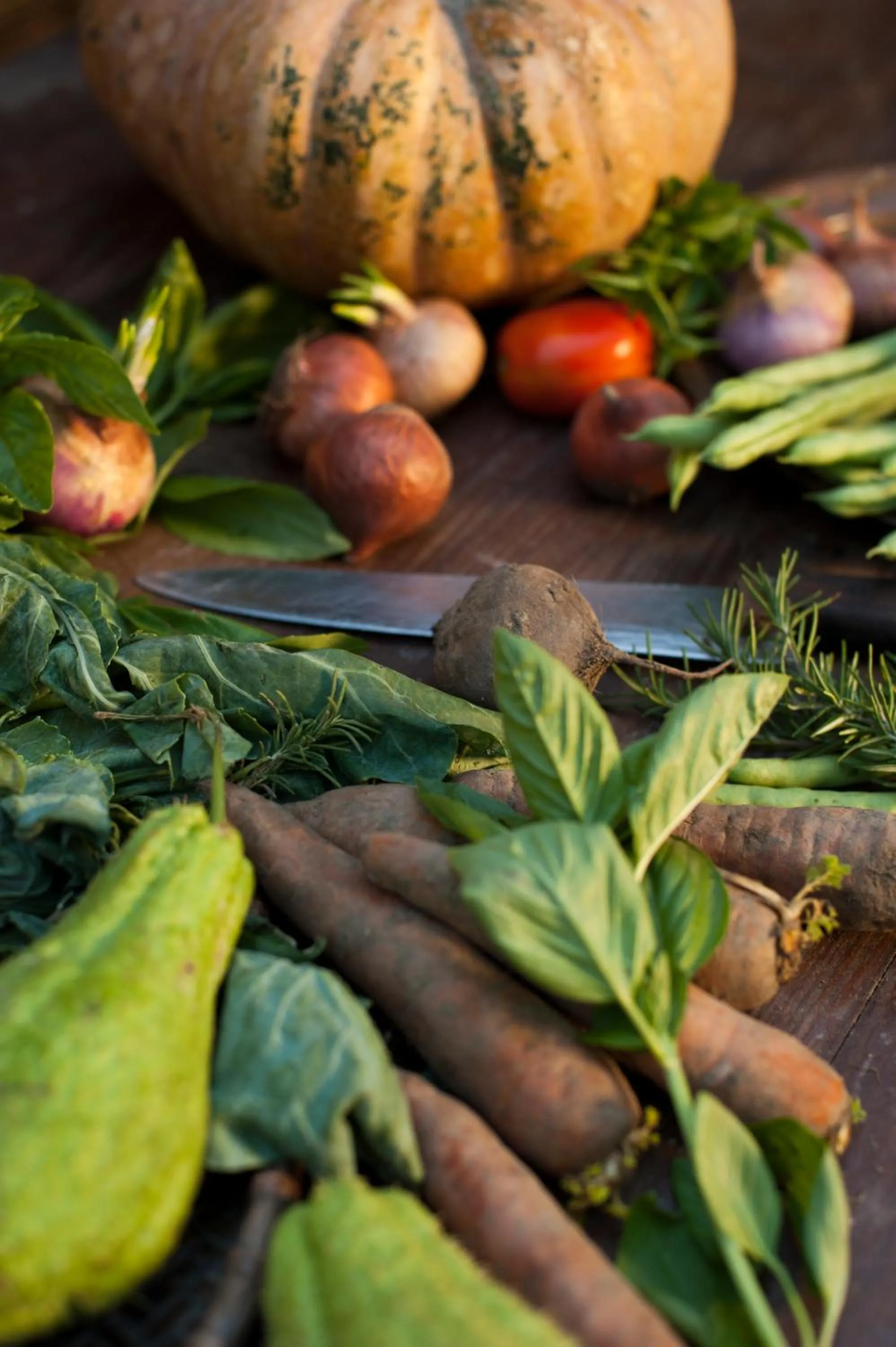 Spring in Tiger Tops Karnali Lodge