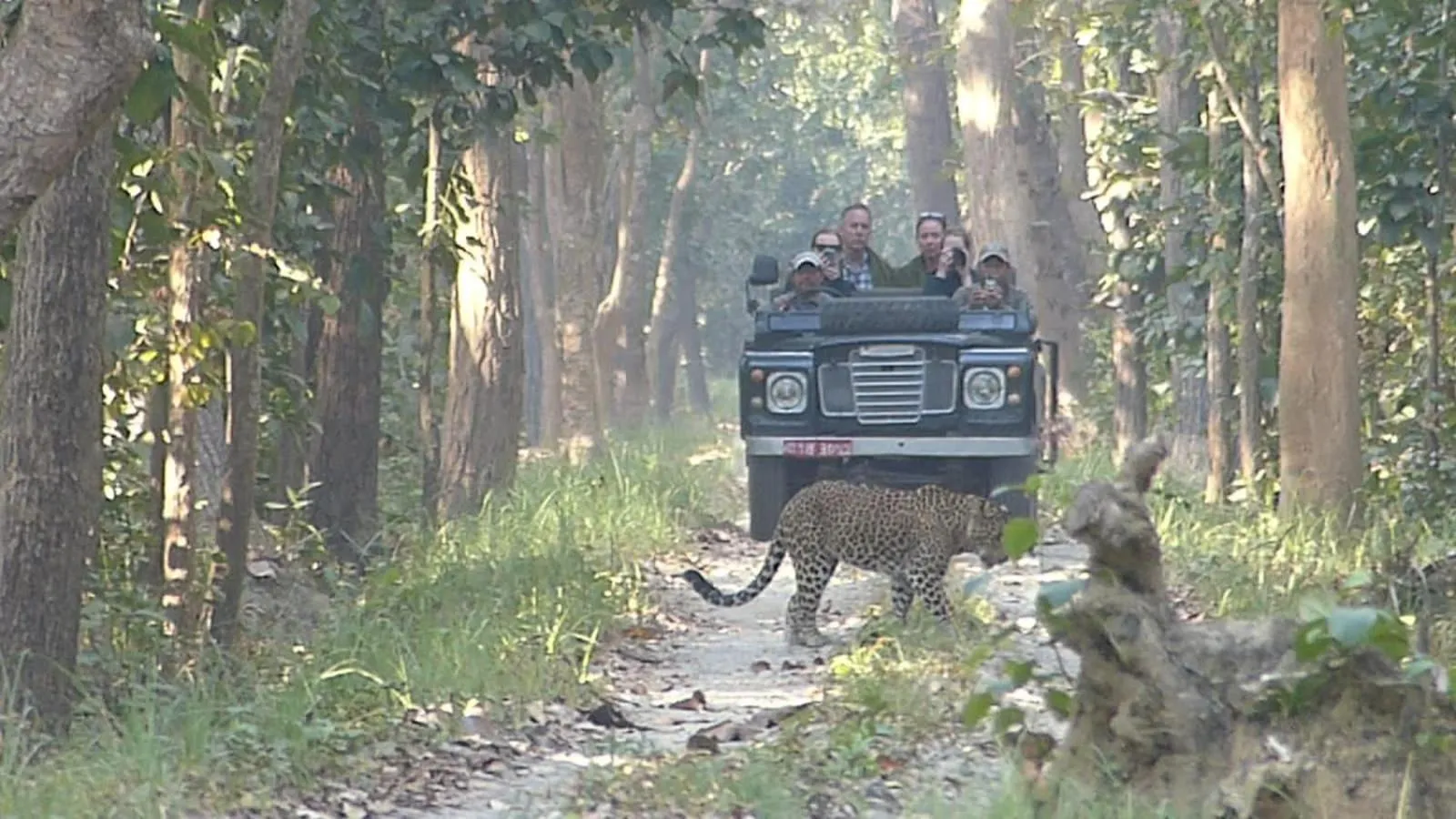Natural landscape in Tiger Tops Karnali Lodge