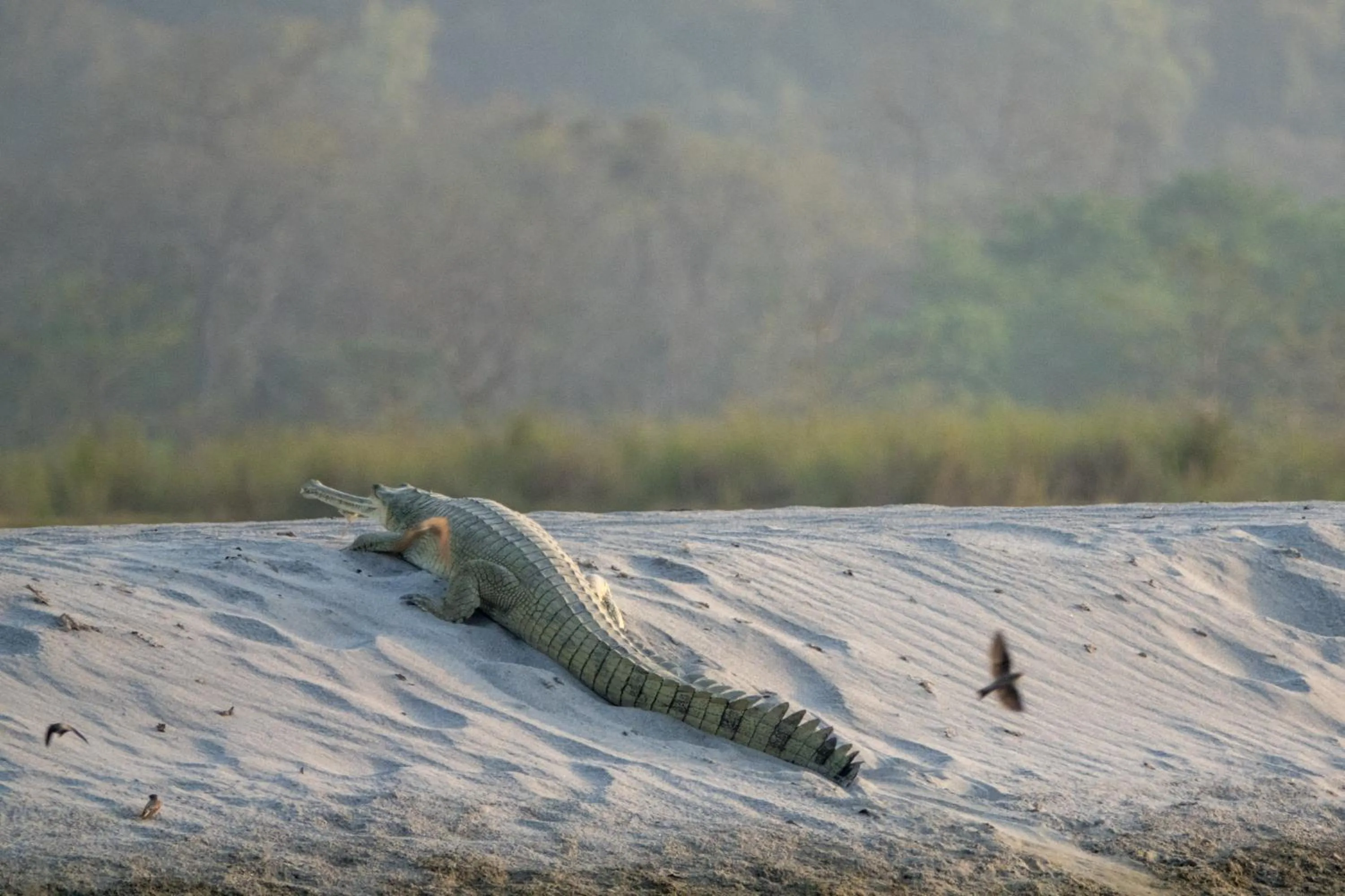 Activities in Tiger Tops Karnali Lodge