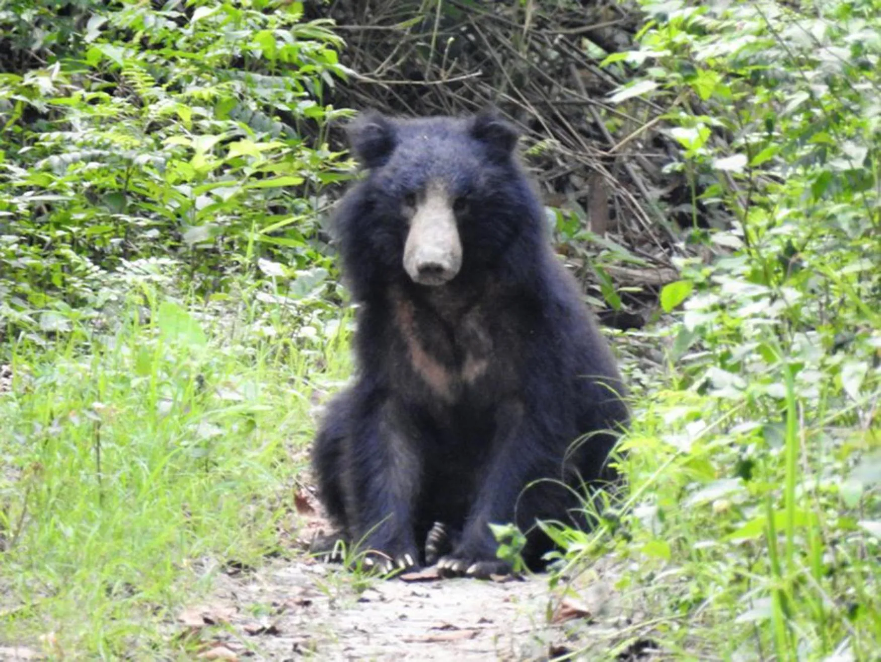 Activities in Tiger Tops Karnali Lodge