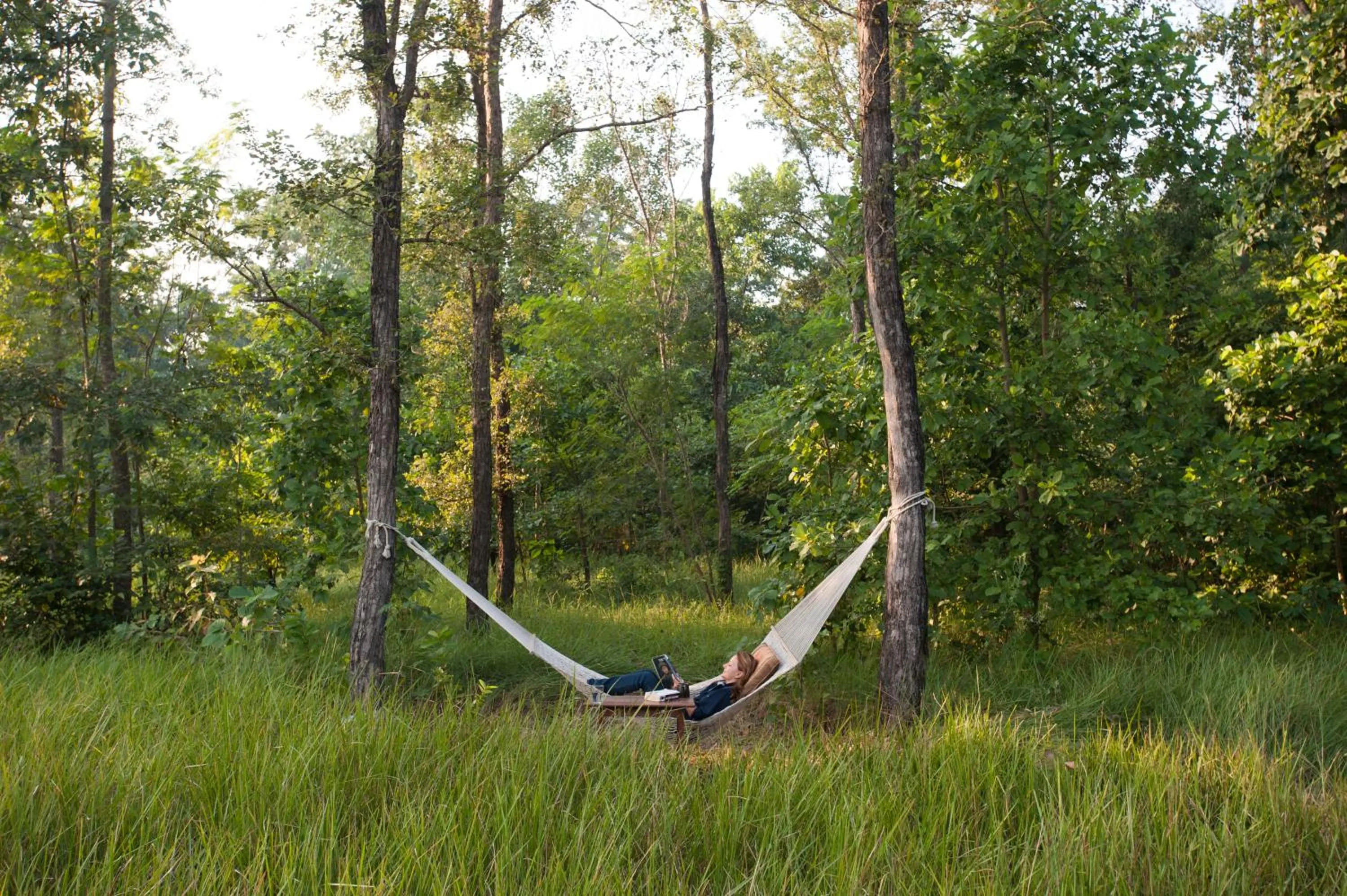 Spring in Tiger Tops Karnali Lodge