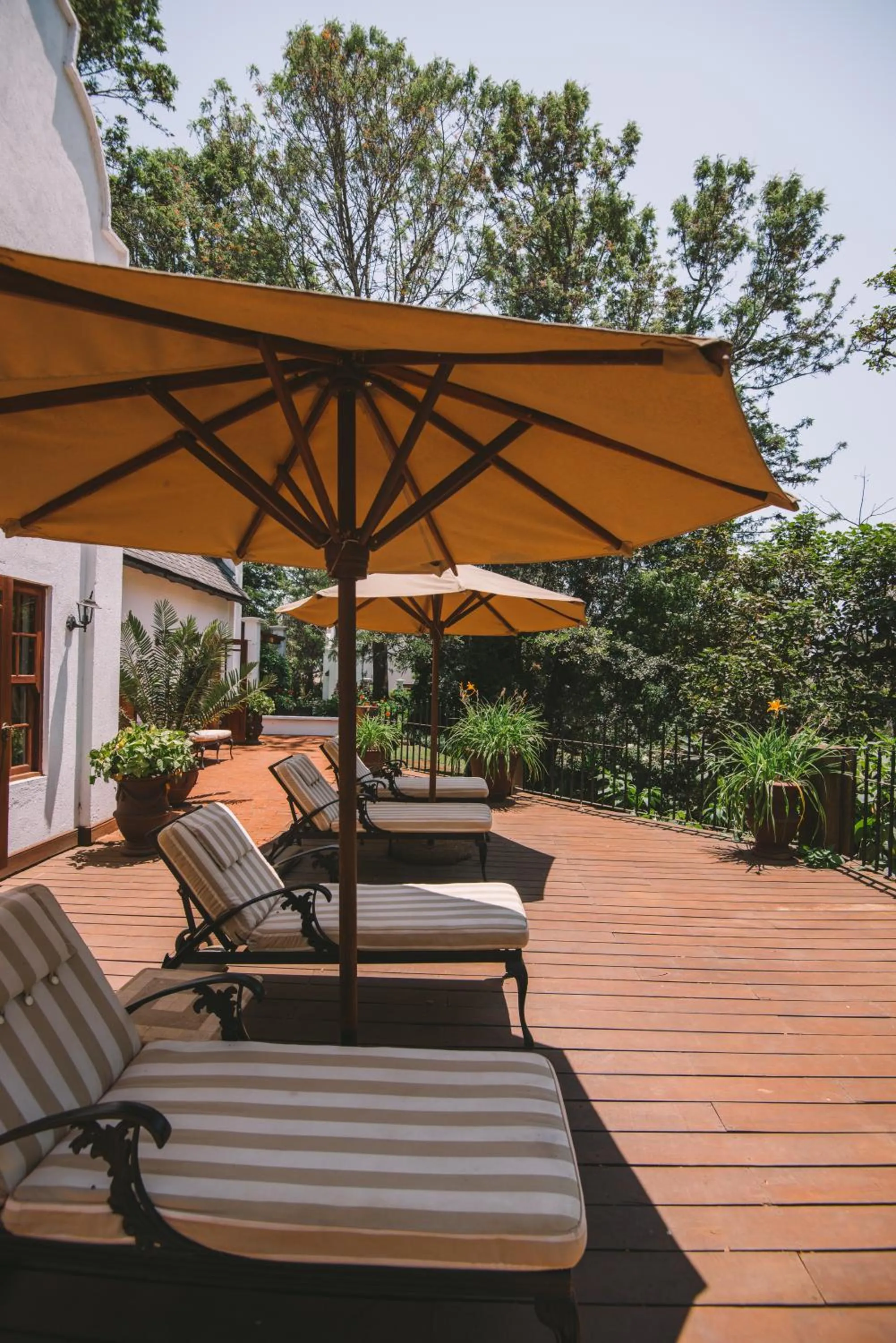 Patio in The Manor at Ngorongoro