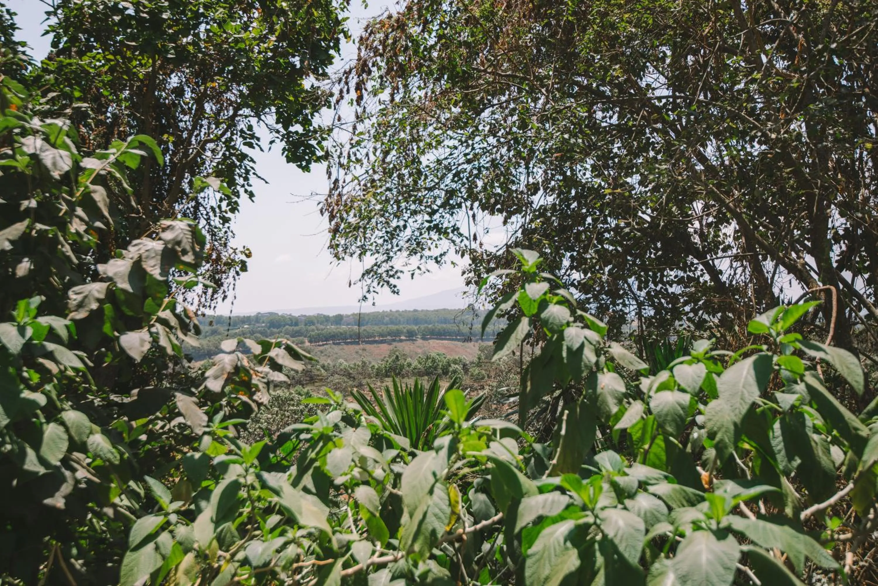 Natural landscape in The Manor at Ngorongoro