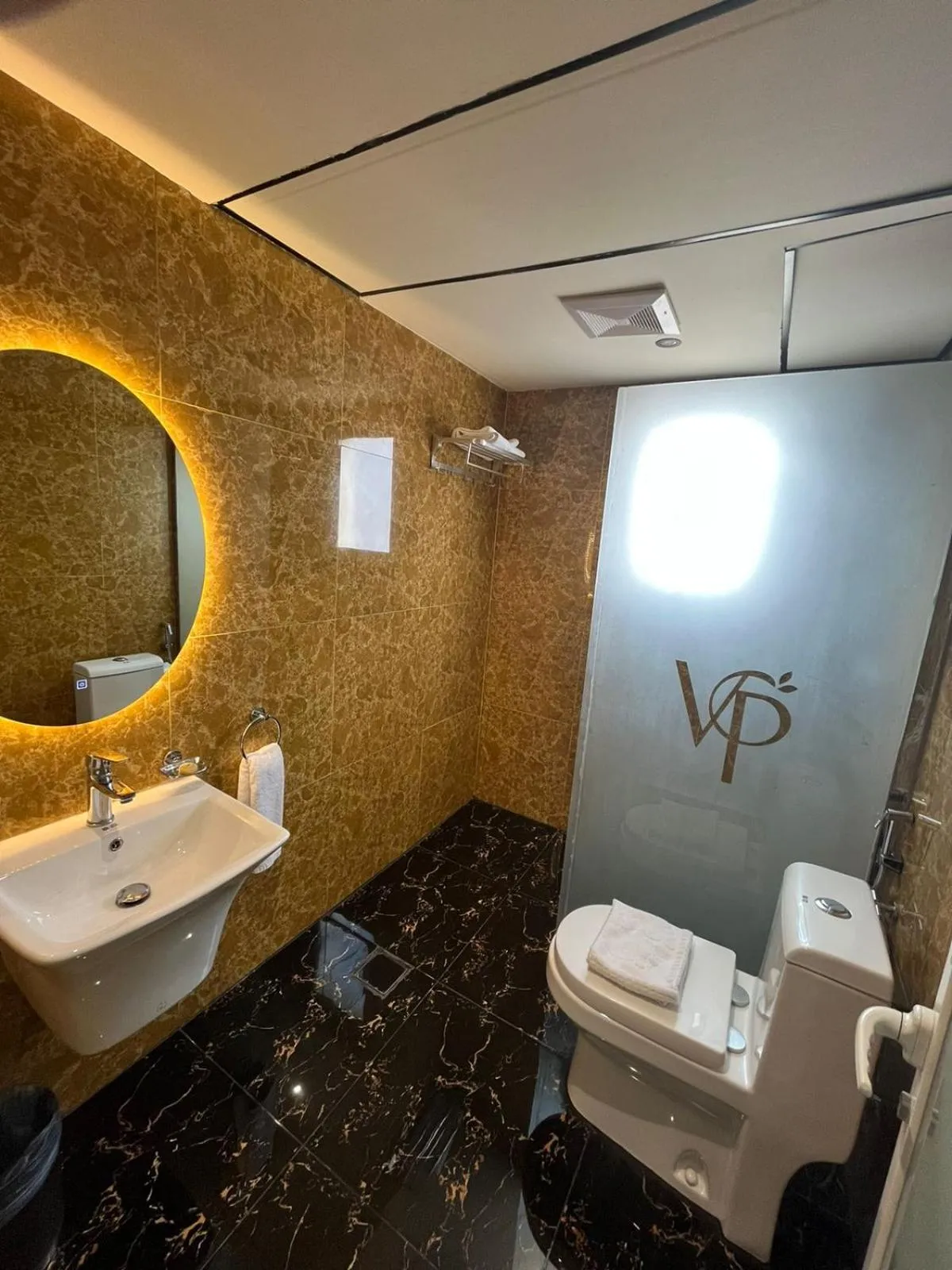 Toilet in Villa Park