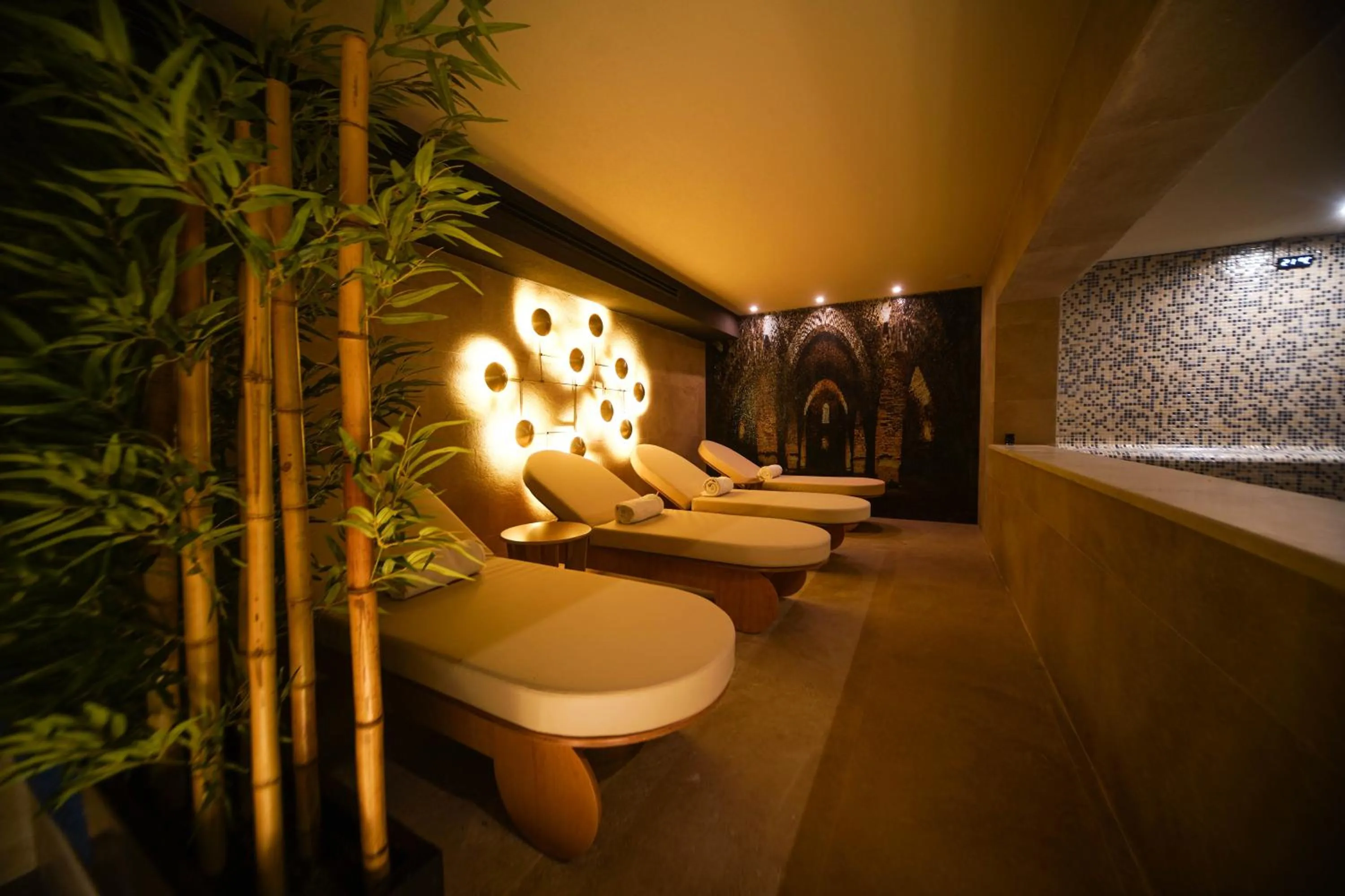 Spa and wellness centre/facilities in Almira Hotel Thermal Spa & Convention Center