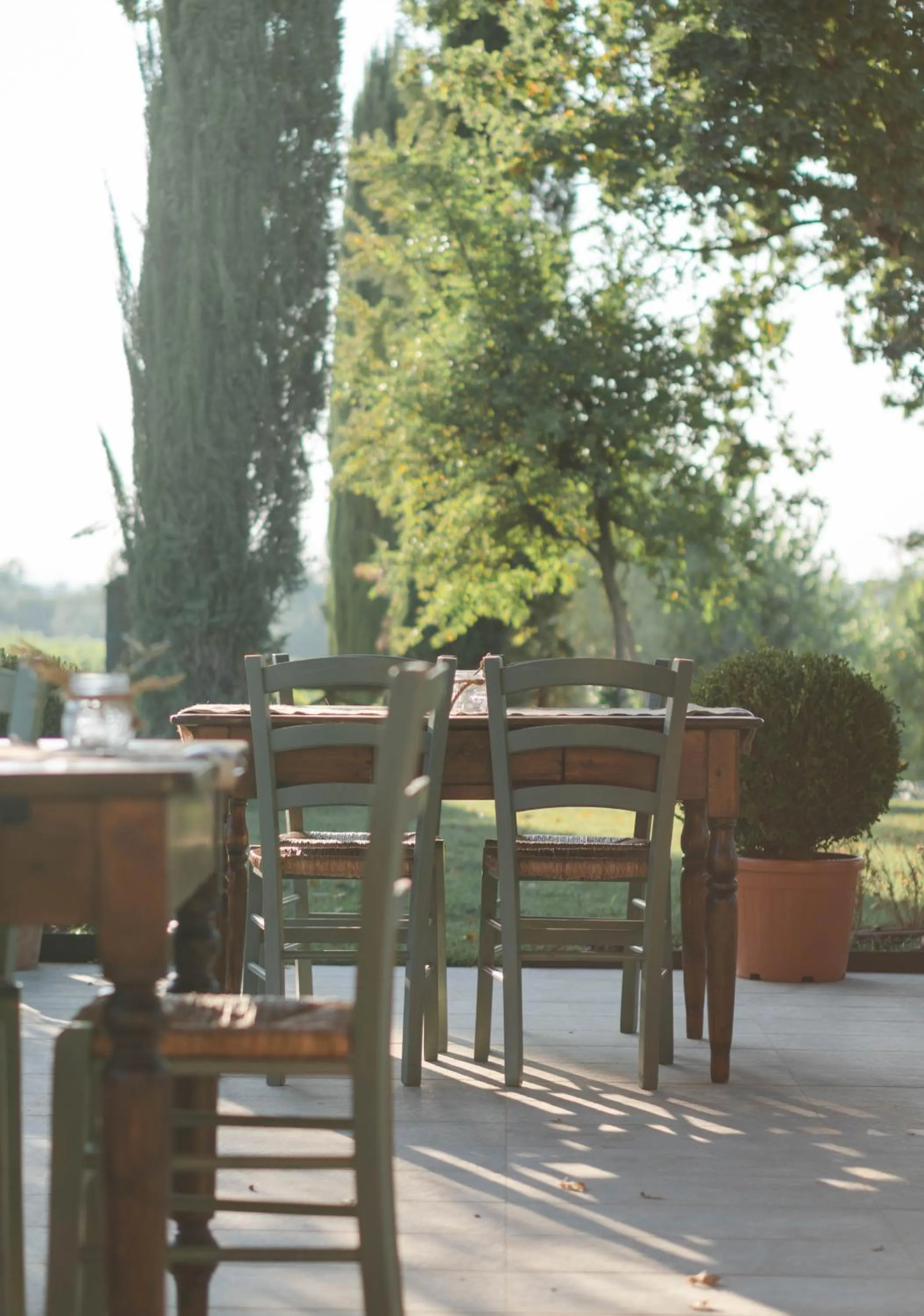 Restaurant/places to eat in Borgo San Vincenzo