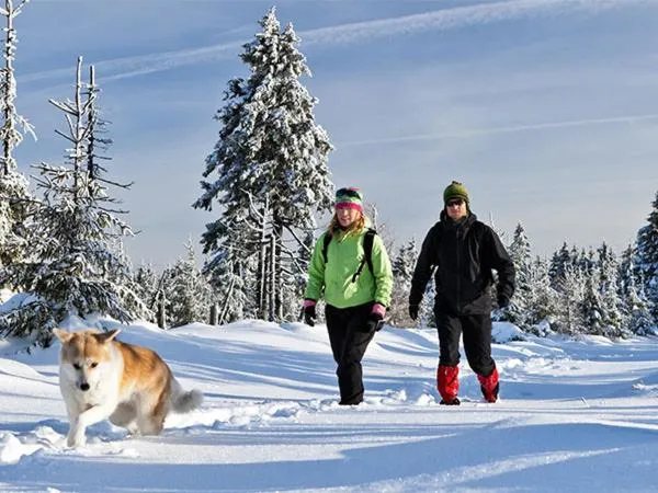 Hiking in Hotel San Giacomo Spa&Gourmet