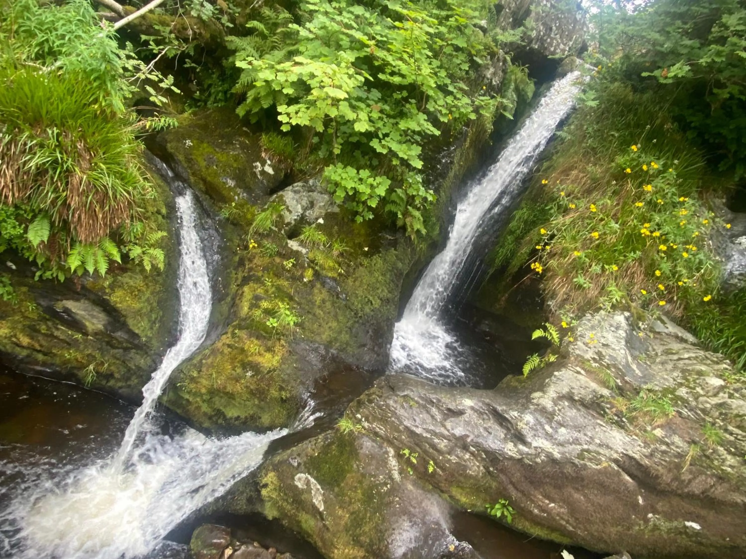 1 bedroomed Detached holiday retreat Pant