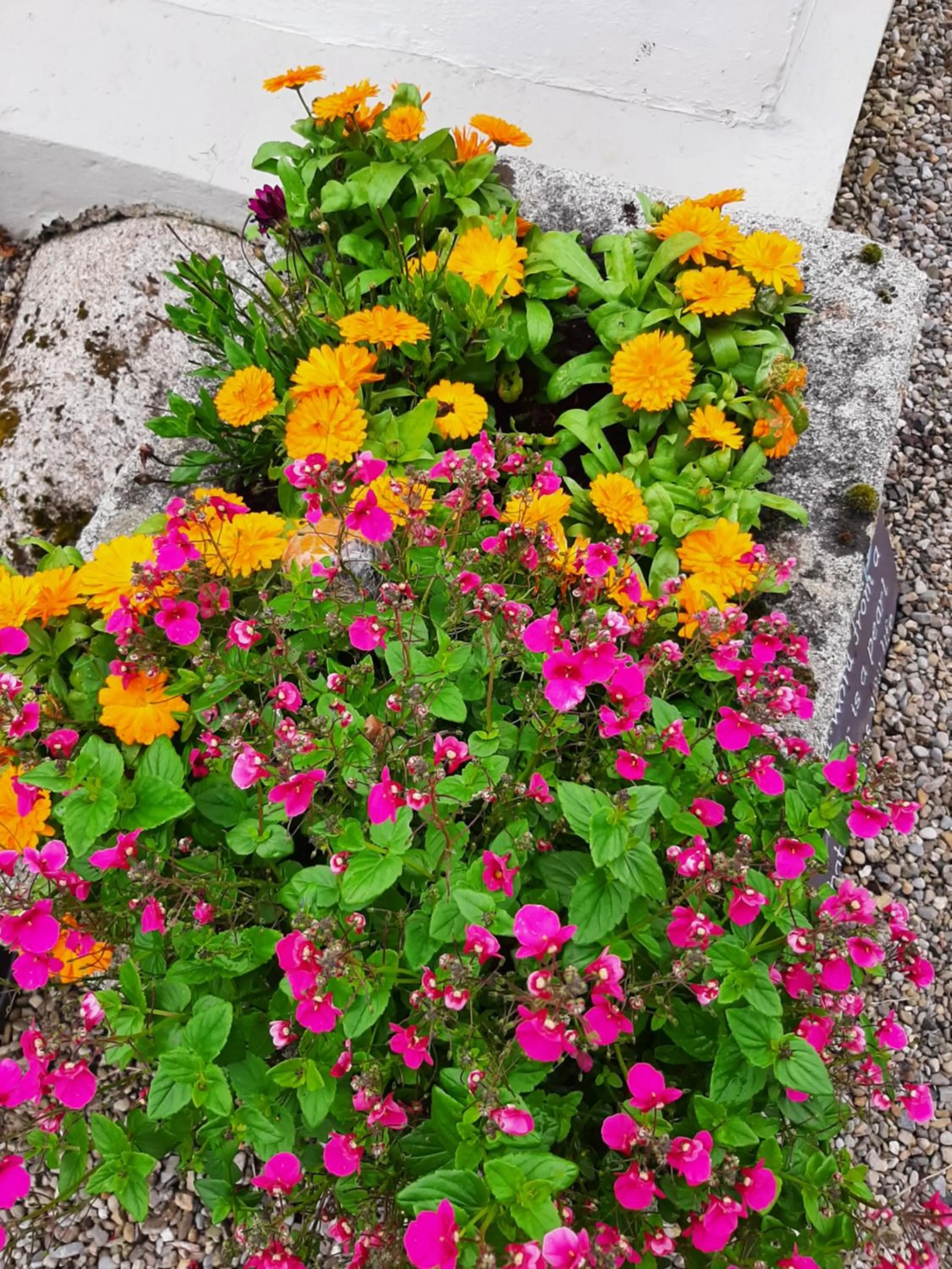 Spring in Abhainn Ri Farmhouse