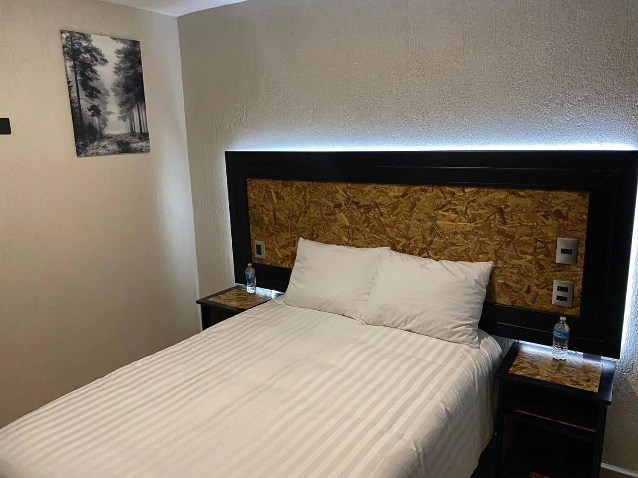 Photo of the whole room in Hotel Central Pirámides