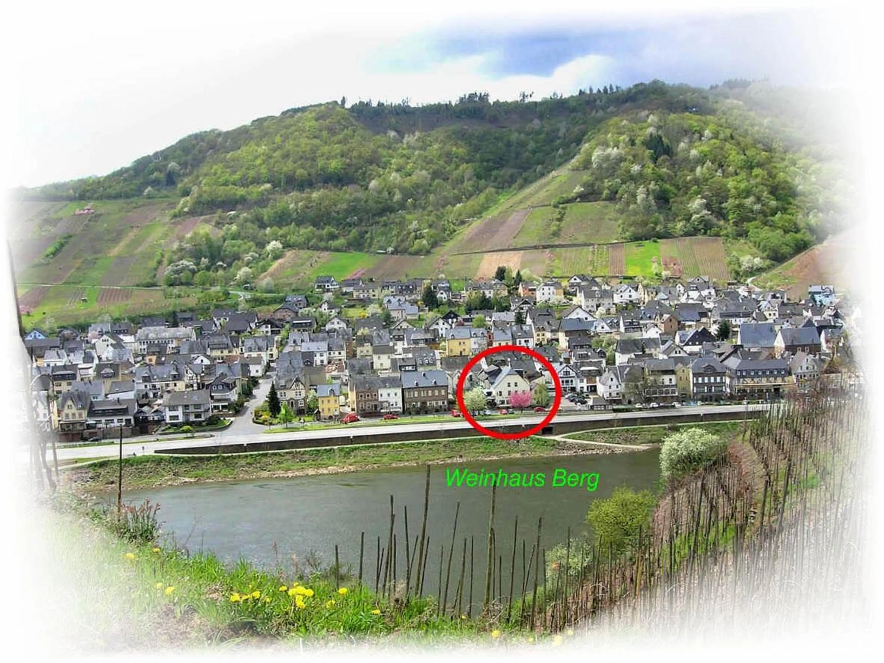 Summer in Weinhaus Berg