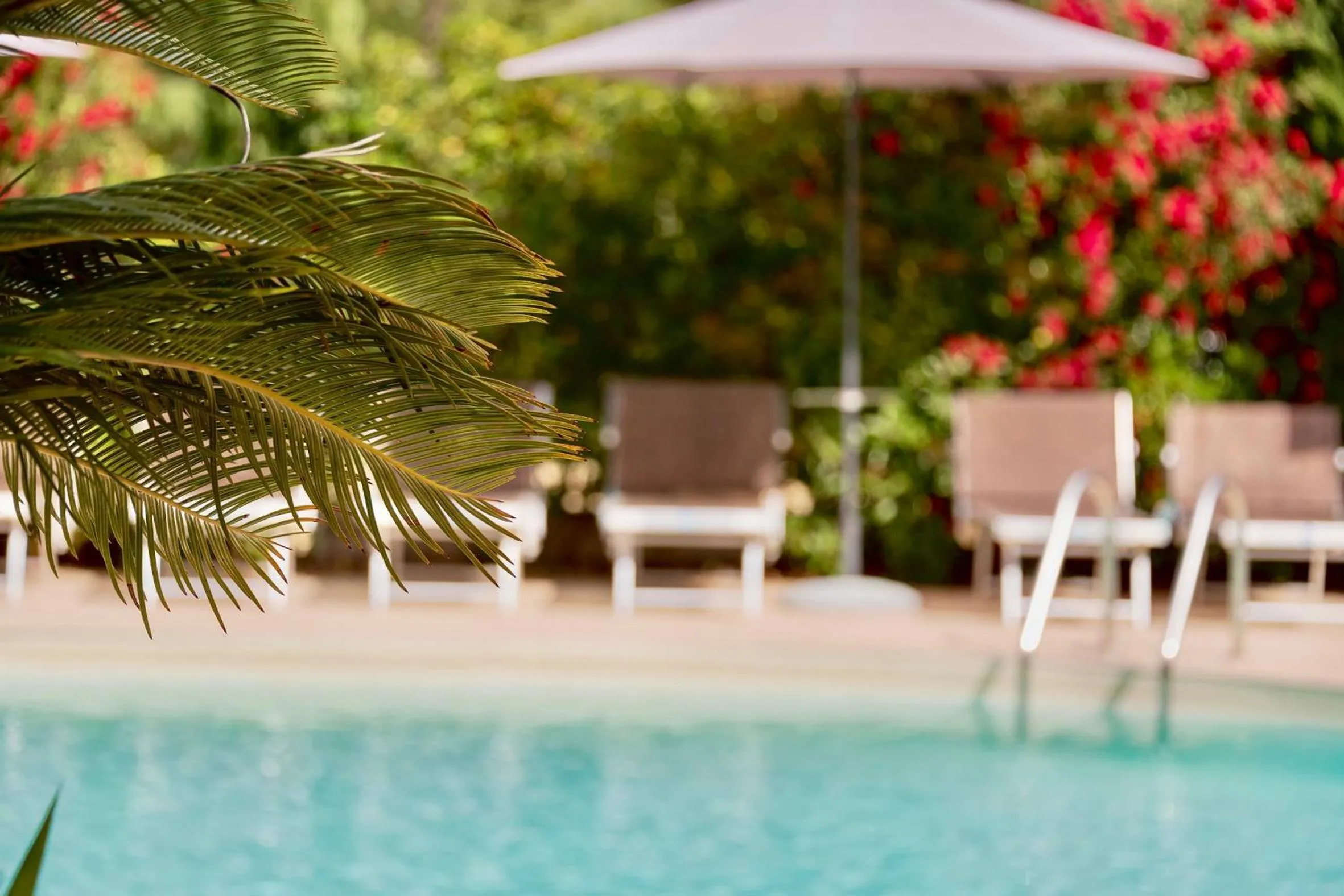 Day in El Patio Hotel