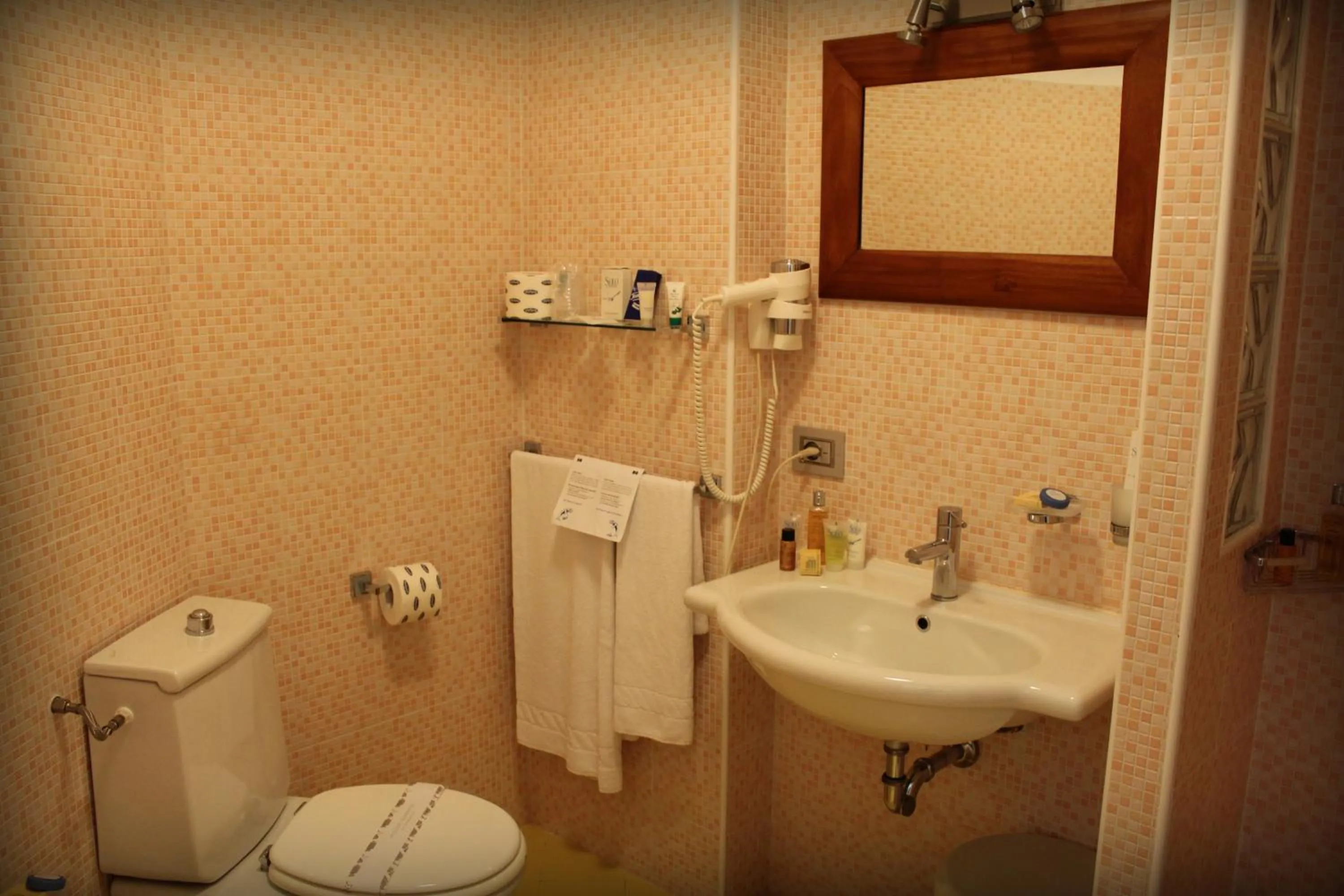 Toilet in Hotel Marini